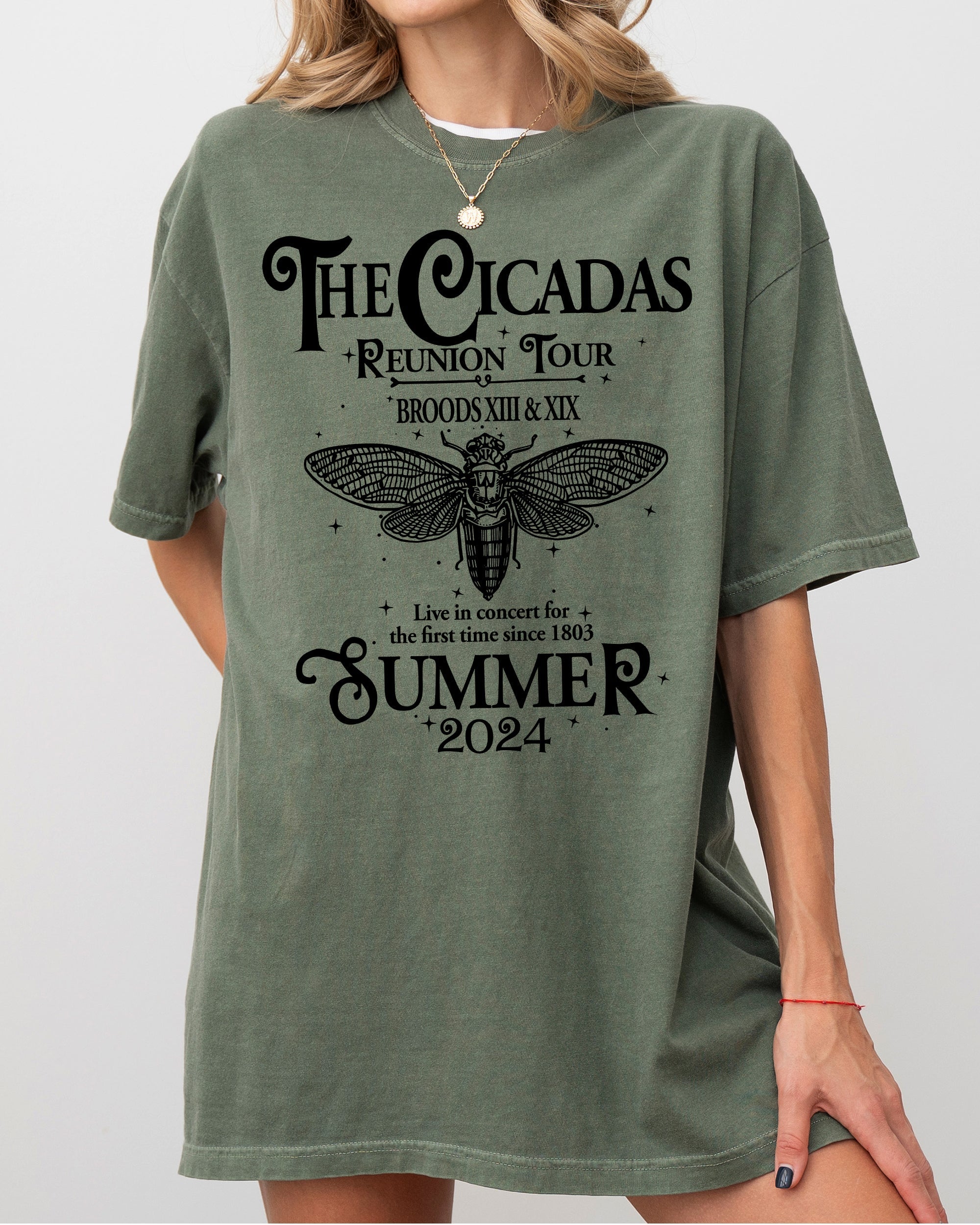Cicadas Reunion Tour Summer 2024 Nature Lover Double Brood XIII XIX Outdoors Concert Shirt Comfort Colors Tee