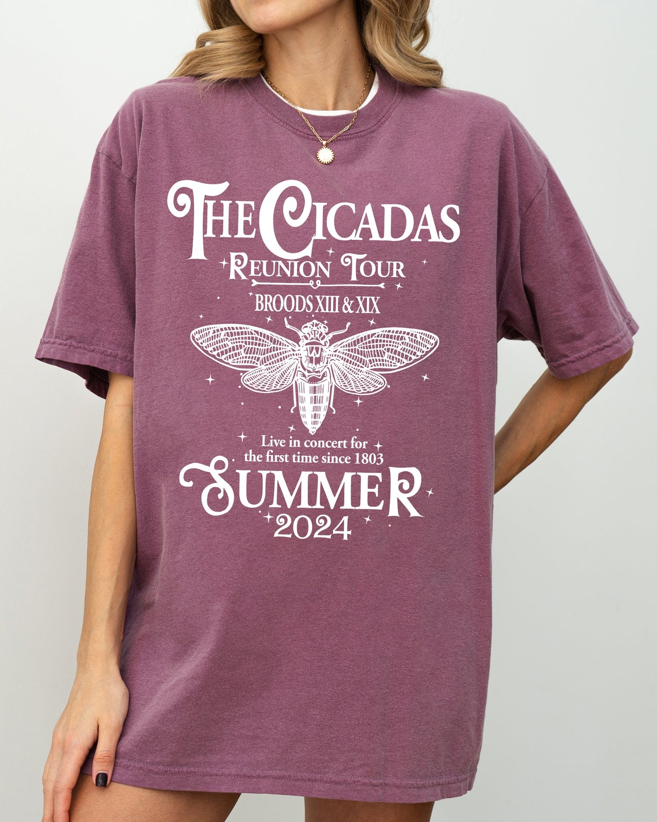 Cicadas Reunion Tour Summer 2024 Nature Lover Double Brood XIII XIX Outdoors Concert Shirt Comfort Colors Tee