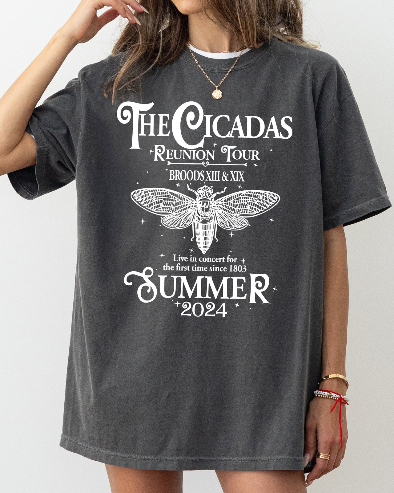 Cicadas Reunion Tour Summer 2024 Nature Lover Double Brood XIII XIX Outdoors Concert Shirt Comfort Colors Tee