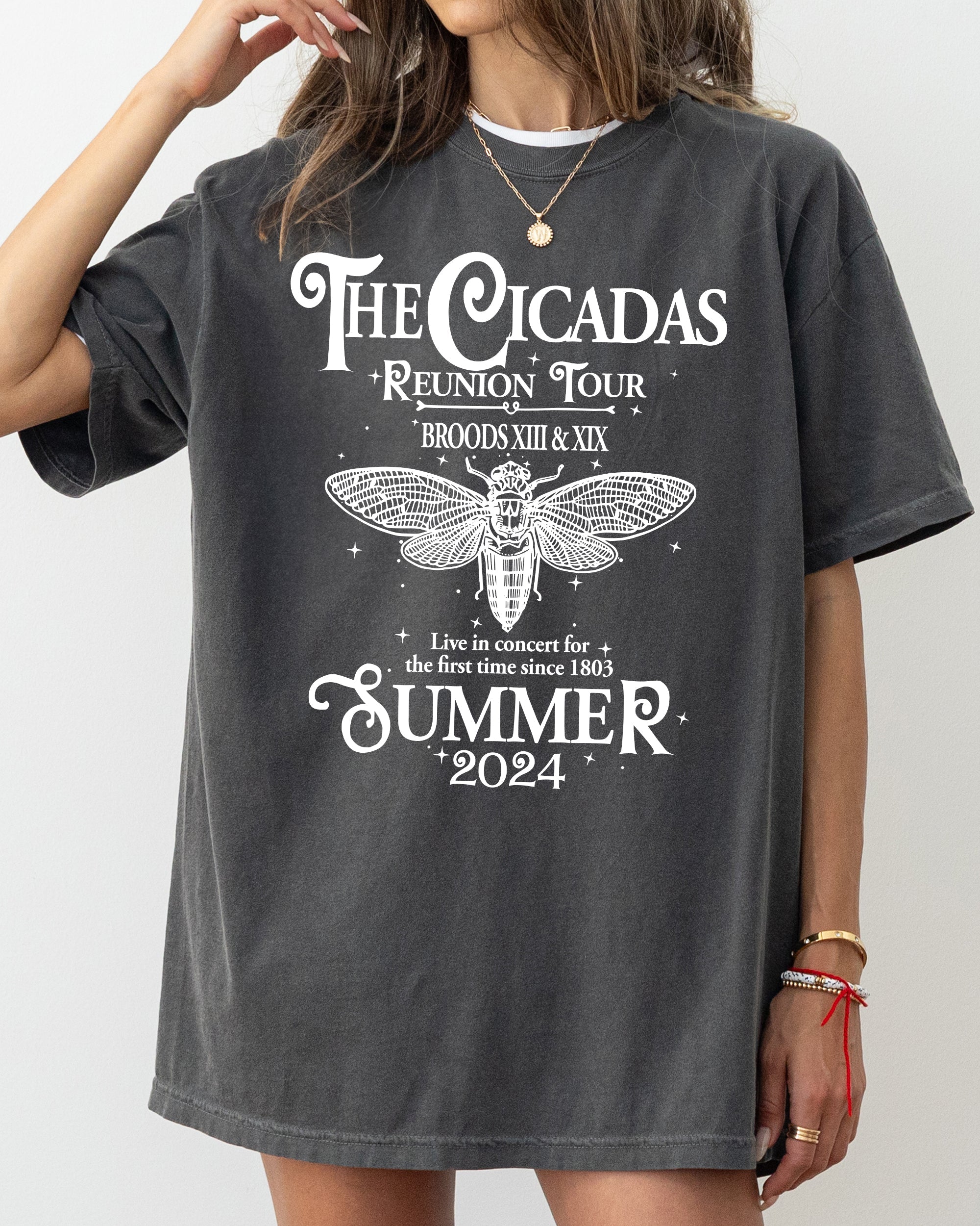Cicadas Reunion Tour Summer 2024 Nature Lover Double Brood XIII XIX Outdoors Concert Shirt Comfort Colors Tee
