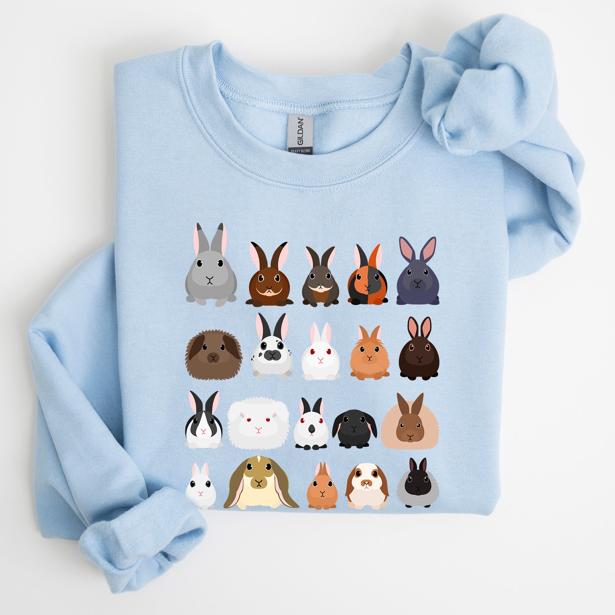 Colorful Rabbit Breeds, Rabbits In A Row, Easter Collection Artwork Featuring Playful Rabbits Graphic Sweatshirt