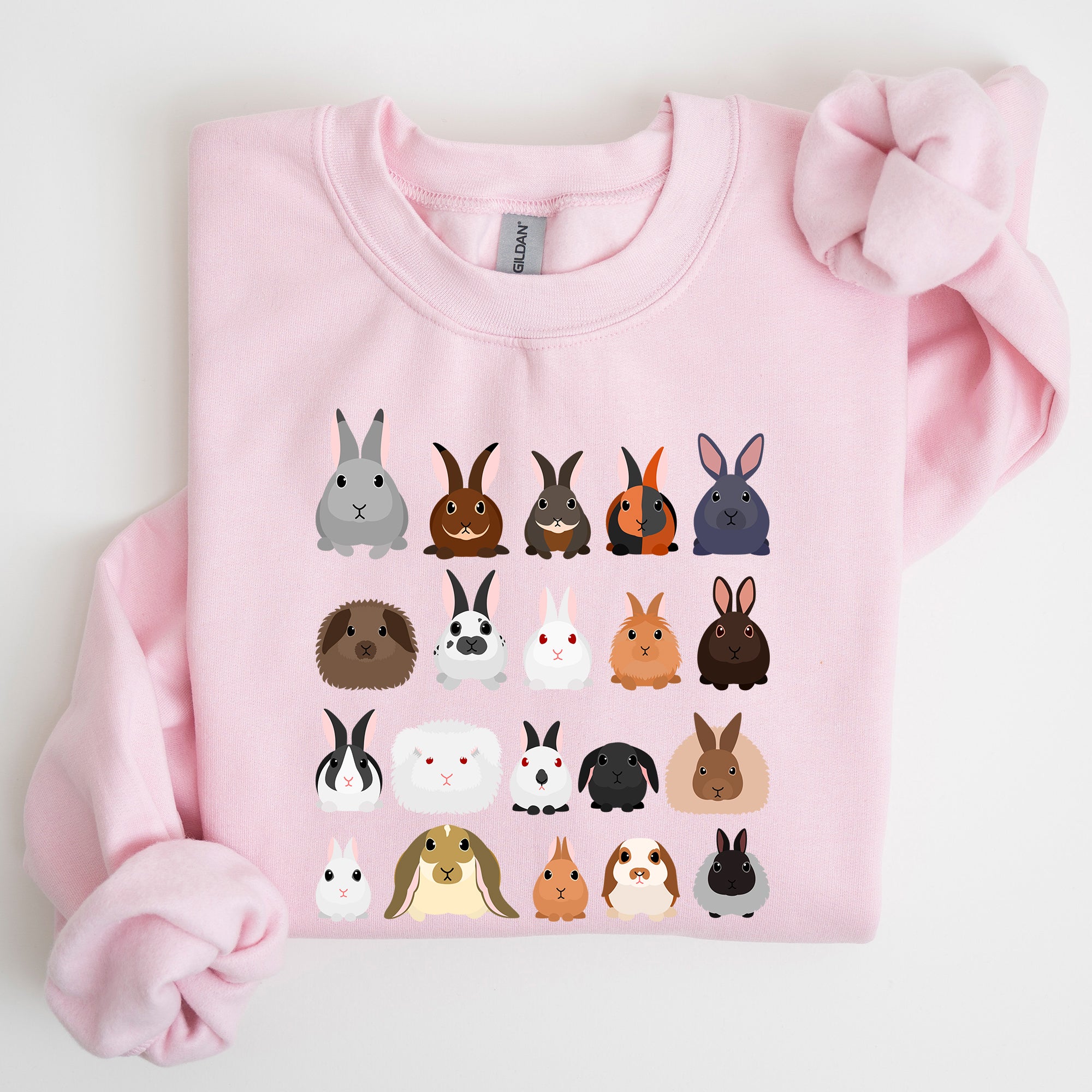 Colorful Rabbit Breeds, Rabbits In A Row, Easter Collection Artwork Featuring Playful Rabbits Graphic Sweatshirt