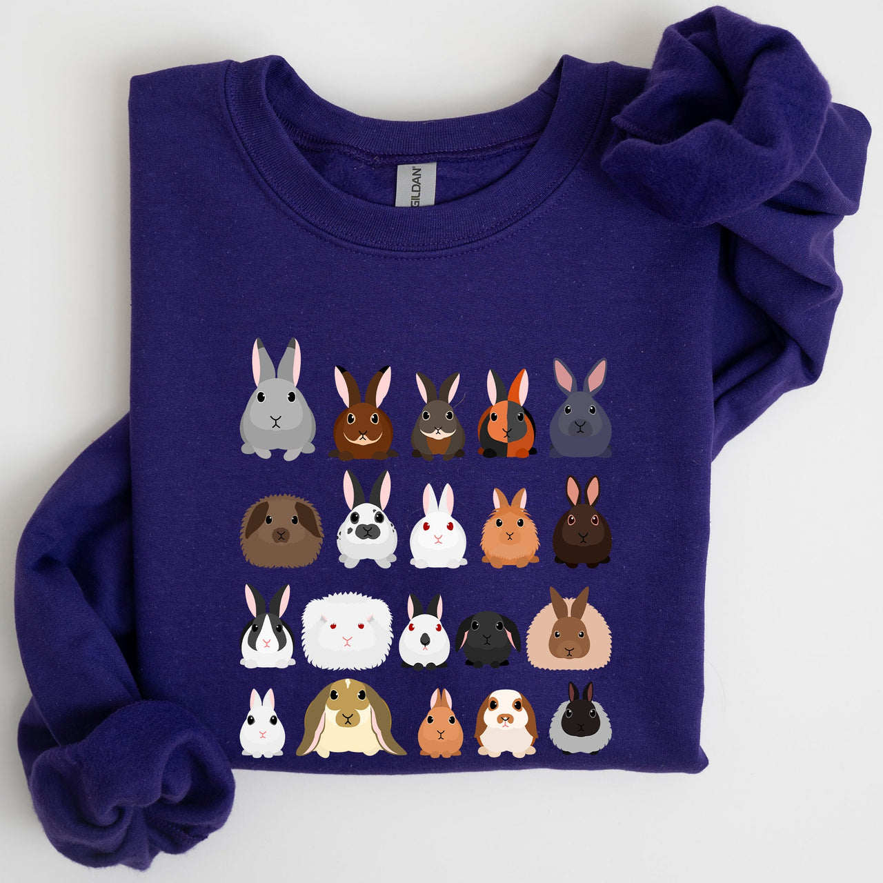 Colorful Rabbit Breeds, Rabbits In A Row, Easter Collection Artwork Featuring Playful Rabbits Graphic Sweatshirt