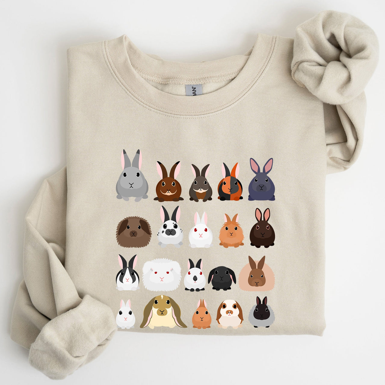 Colorful Rabbit Breeds, Rabbits In A Row, Easter Collection Artwork Featuring Playful Rabbits Graphic Sweatshirt