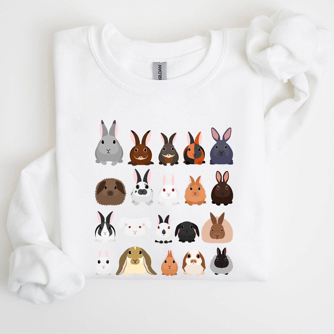 Colorful Rabbit Breeds, Rabbits In A Row, Easter Collection Artwork Featuring Playful Rabbits Graphic Sweatshirt