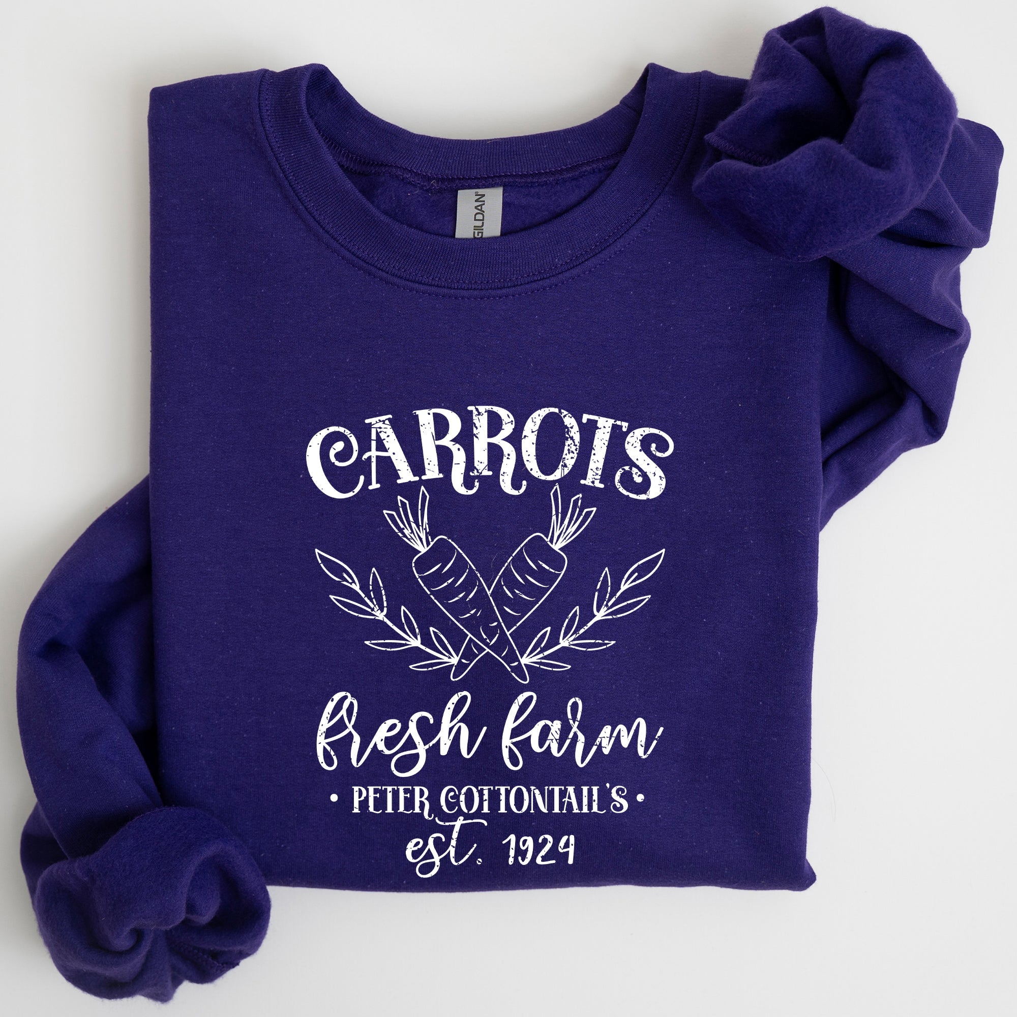 Farm Fresh Carrots Peter Cottontail Retro Farm Sign Easter Pastel Farmhouse Illustration Sweatshirt
