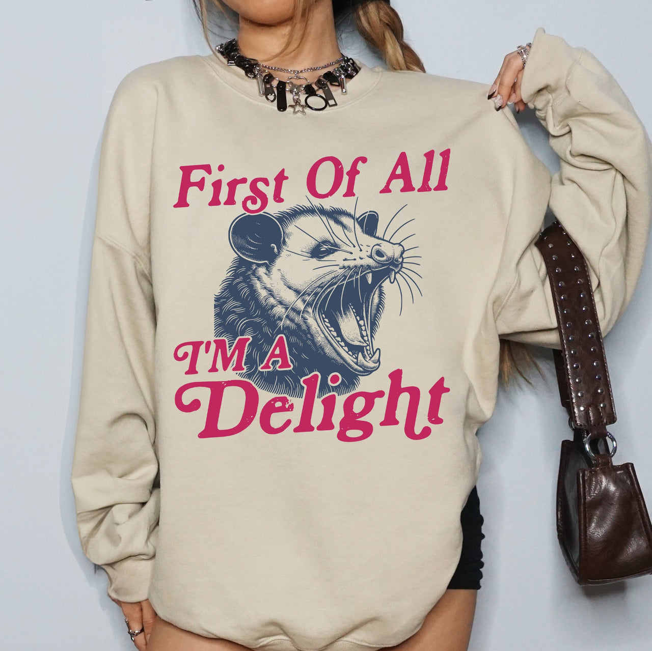 First Of All I'm A Delight Possum Sarcastic Quote Graphic Cozy Warm Bold Statement Sweatshirt