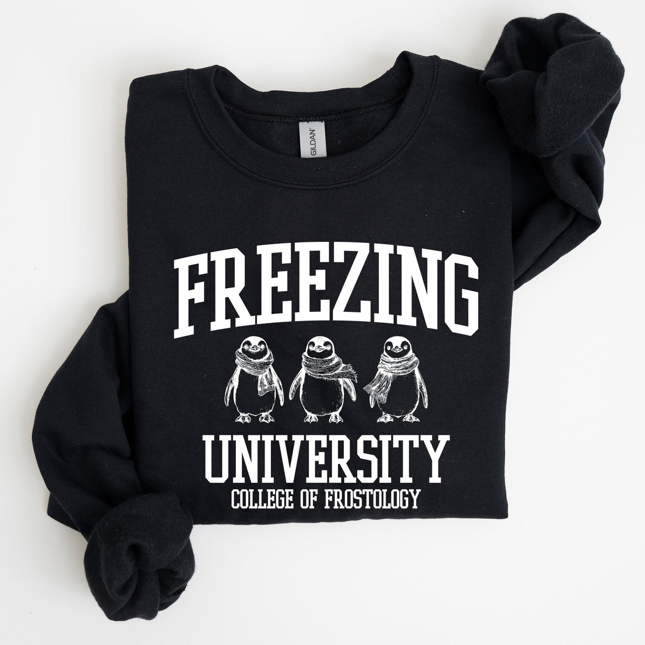Freezing University Whimsical Penguins Winter Cozy Snowy Landscape For Cold Day Sweatshirt