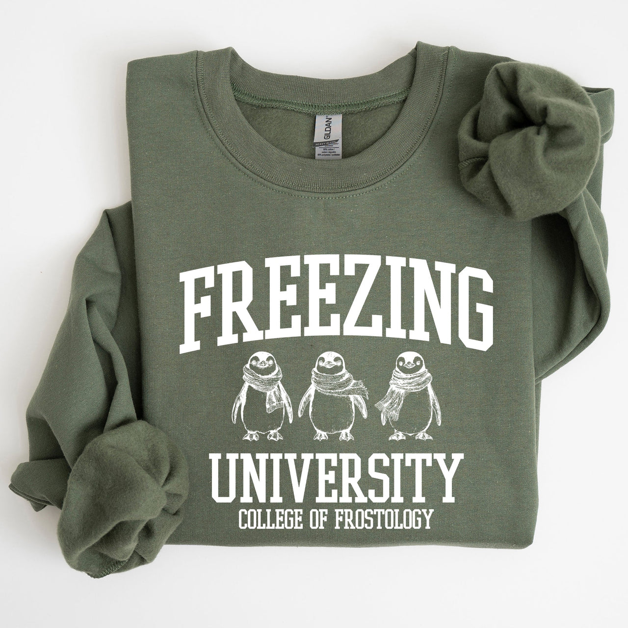 Freezing University Whimsical Penguins Winter Cozy Snowy Landscape For Cold Day Sweatshirt