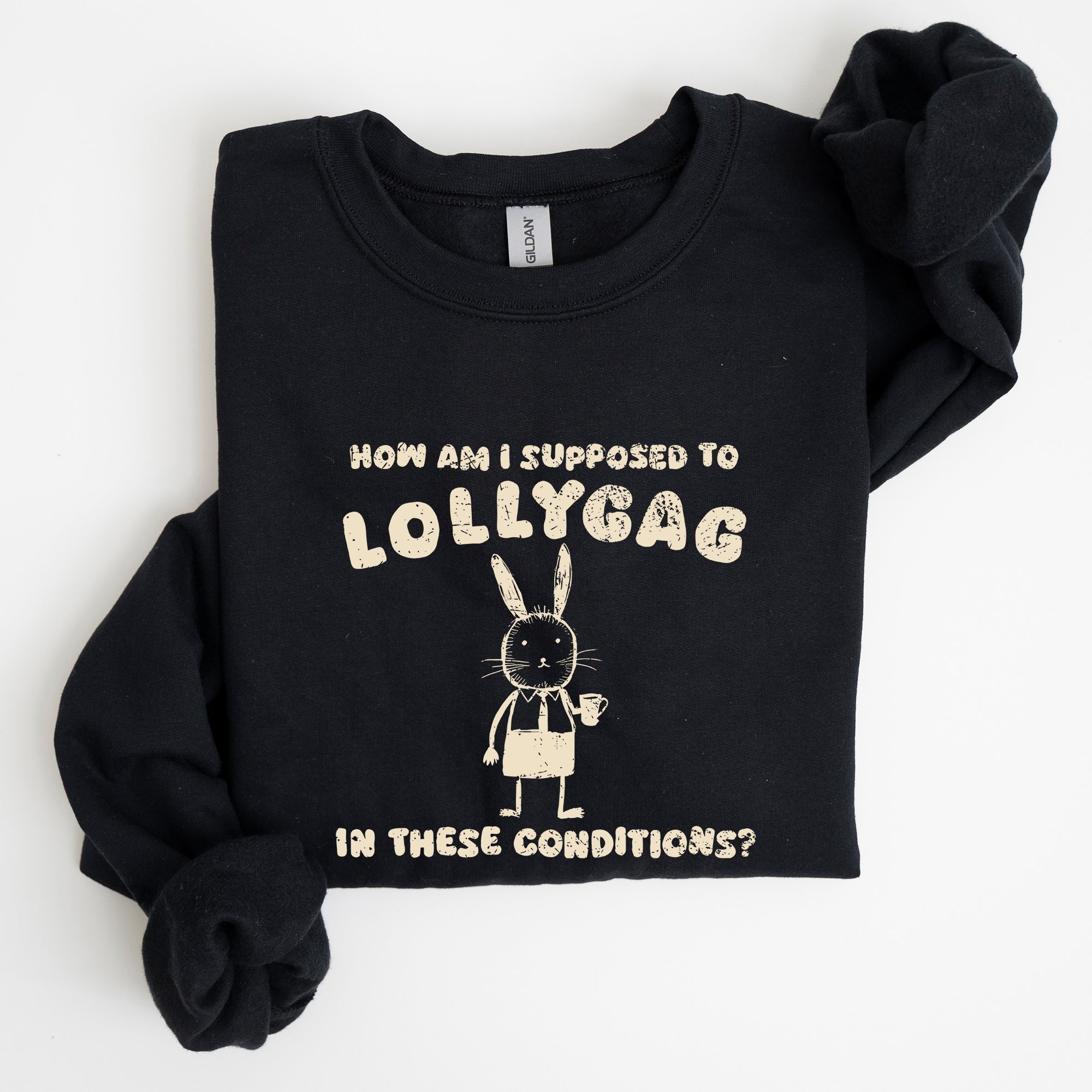 How Am I Supposed To Lollygag Rabbit Bunny Meme Illustration For All Memes Sweatshirt