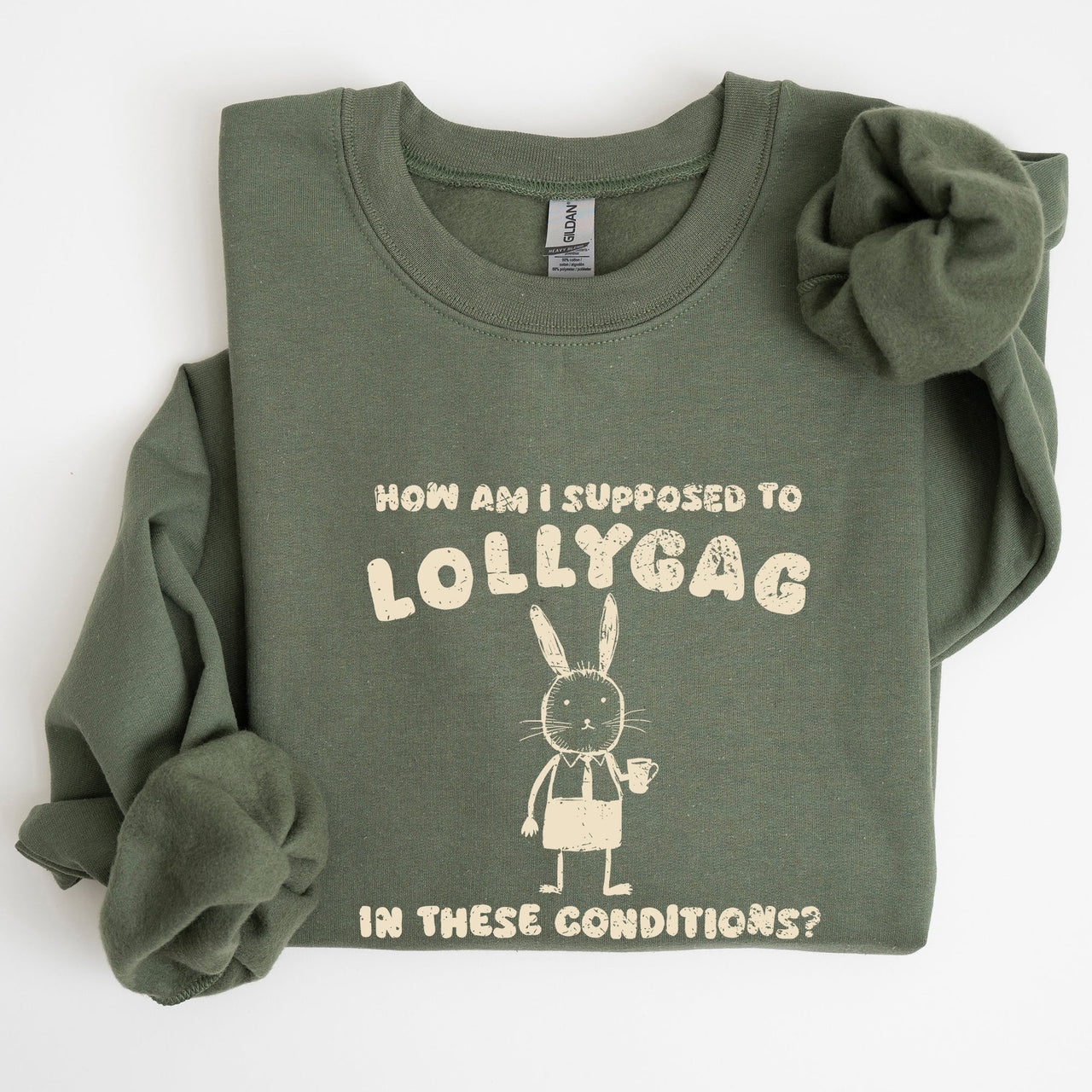 How Am I Supposed To Lollygag Rabbit Bunny Meme Illustration For All Memes Sweatshirt