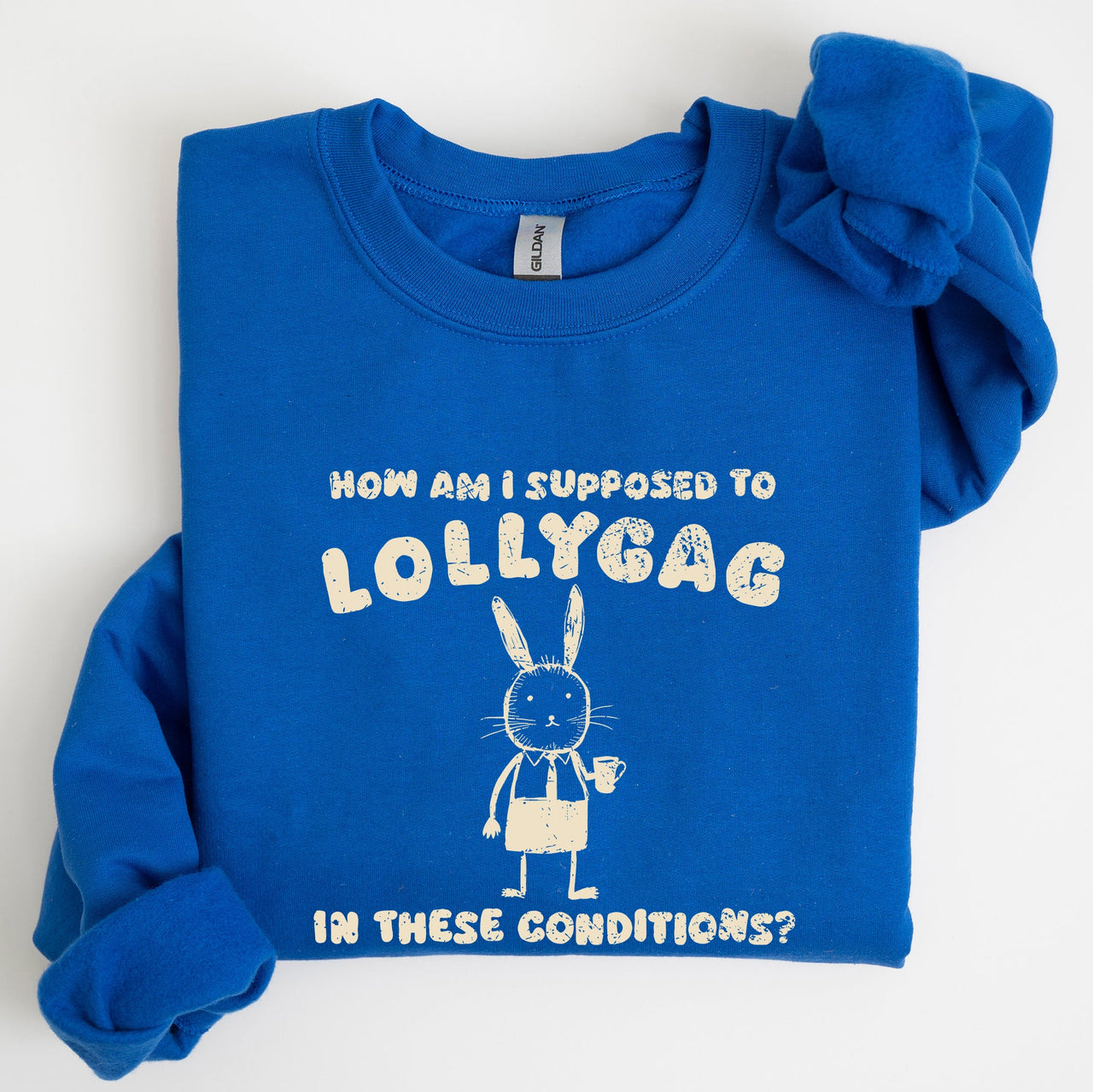 How Am I Supposed To Lollygag Rabbit Bunny Meme Illustration For All Memes Sweatshirt