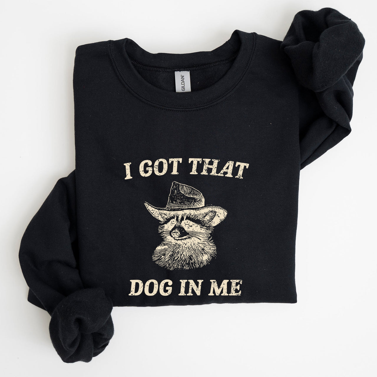 I Got That Dog In Me Raccoon Meme Laughing At The Internet Everyday Today Sweatshirt