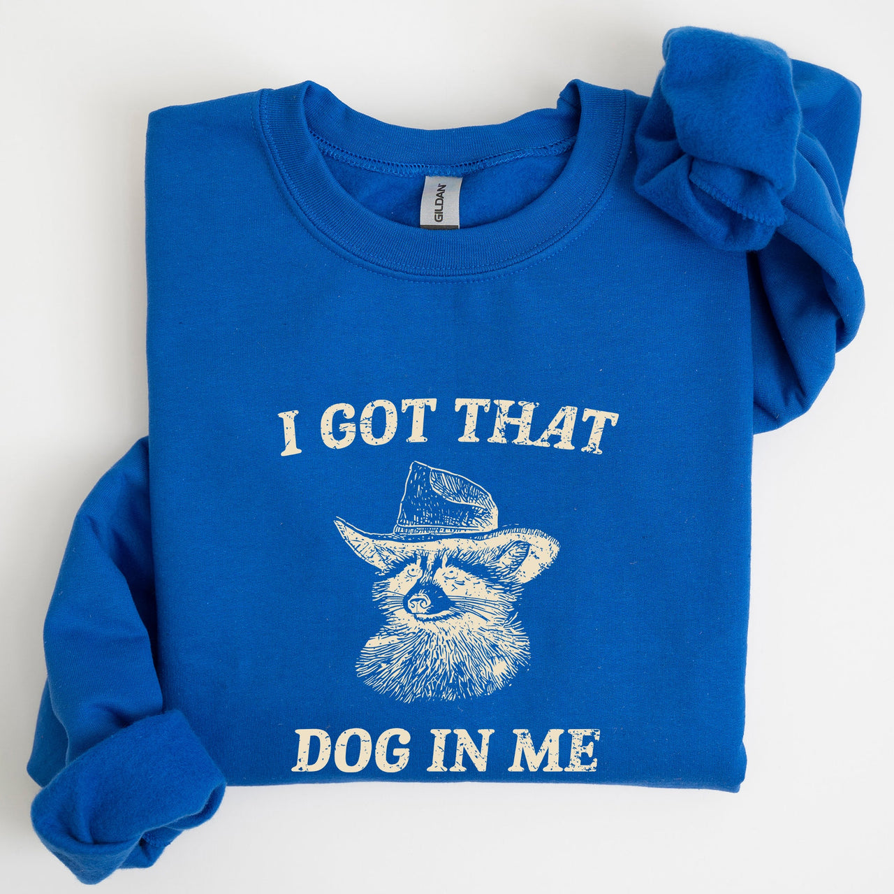 I Got That Dog In Me Raccoon Meme Laughing At The Internet Everyday Today Sweatshirt