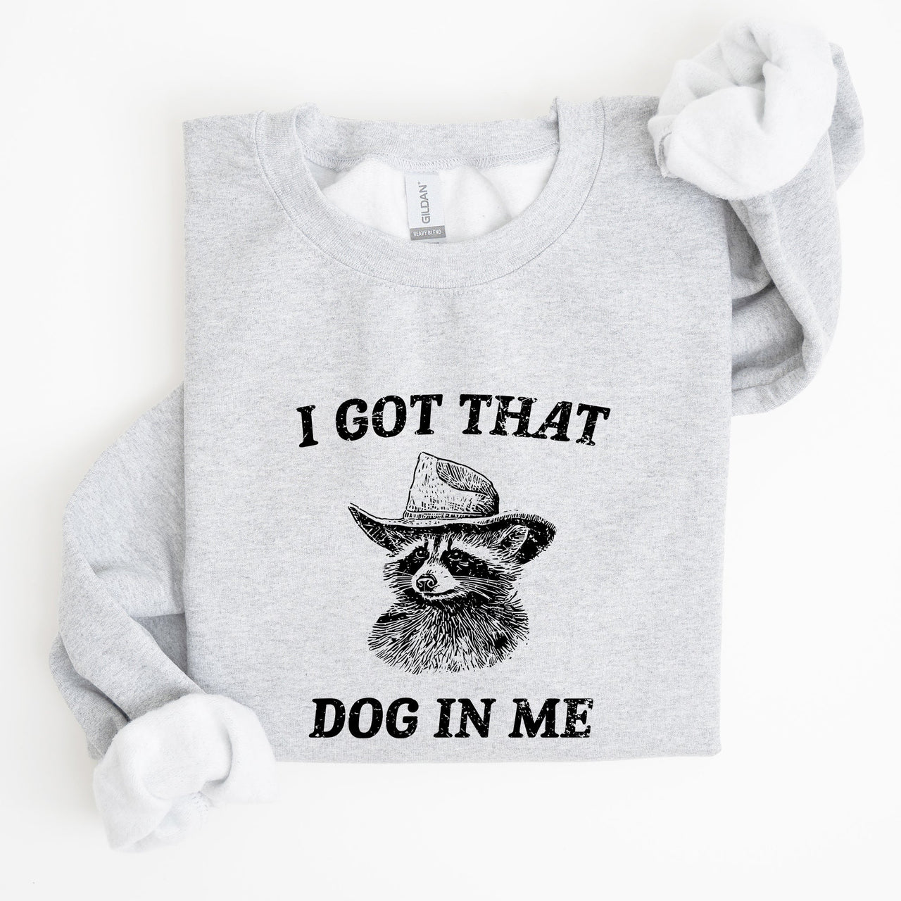 I Got That Dog In Me Raccoon Meme Laughing At The Internet Everyday Today Sweatshirt