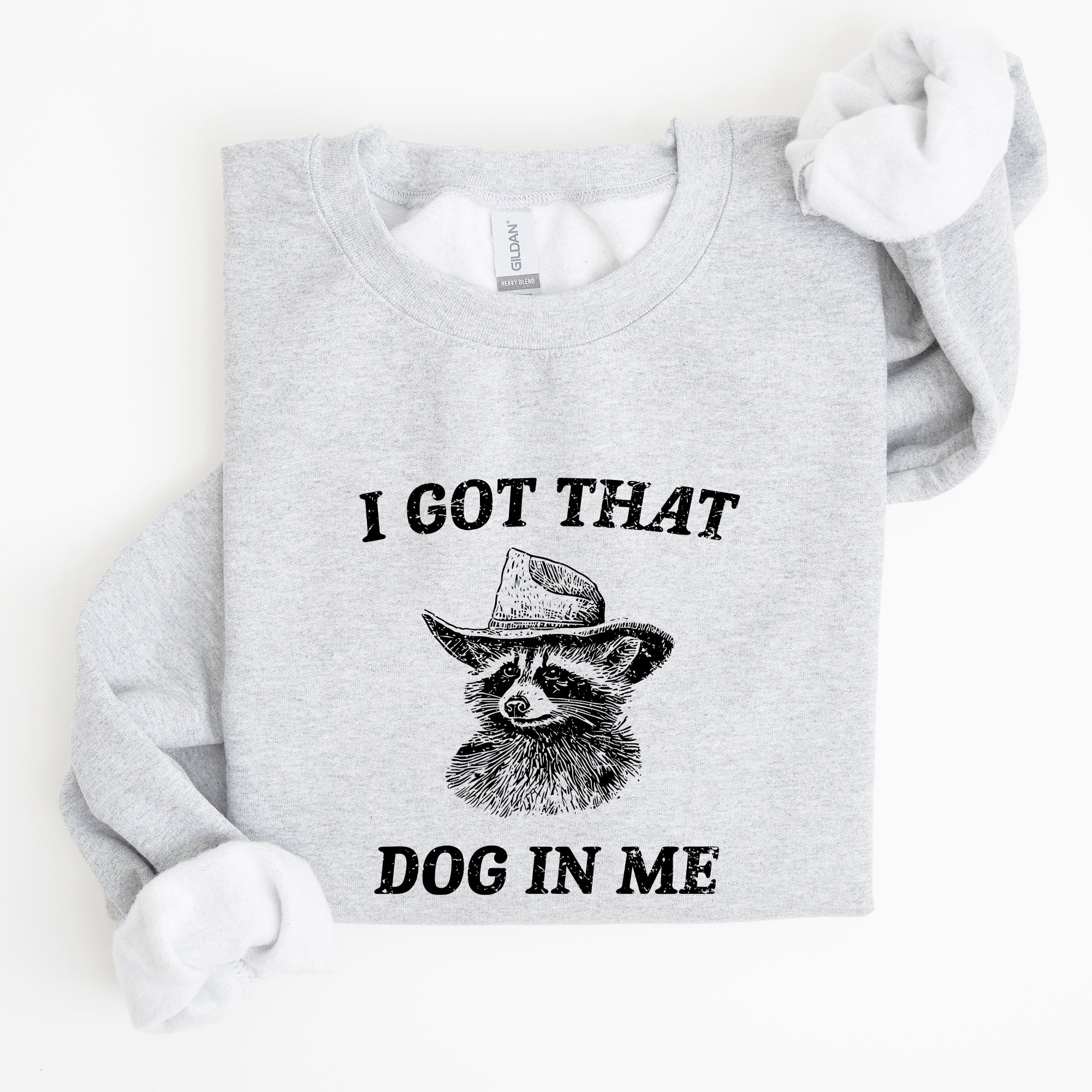 I Got That Dog In Me Raccoon Meme Laughing At The Internet Everyday Today Sweatshirt