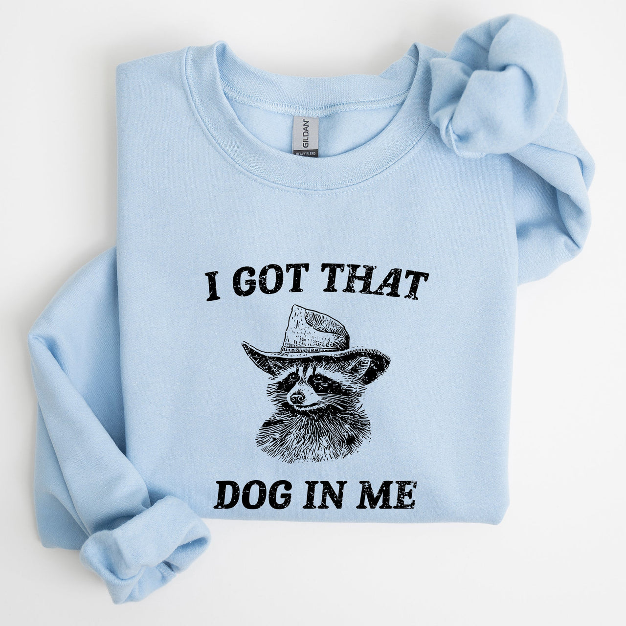 I Got That Dog In Me Raccoon Meme Laughing At The Internet Everyday Today Sweatshirt