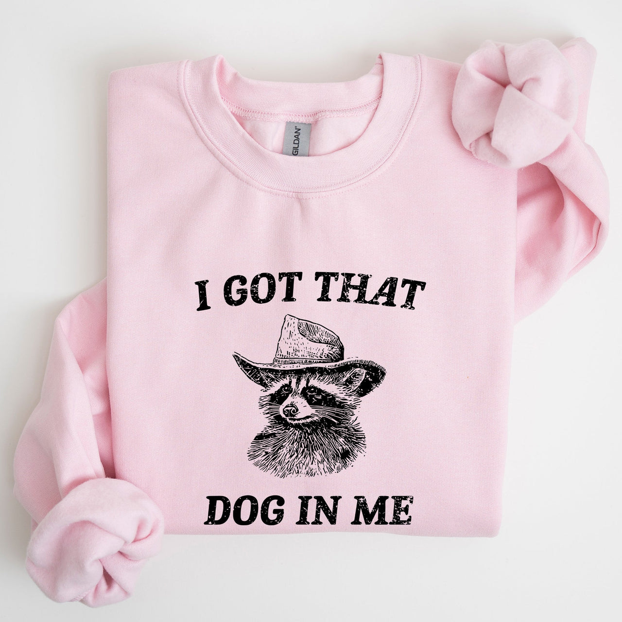 I Got That Dog In Me Raccoon Meme Laughing At The Internet Everyday Today Sweatshirt