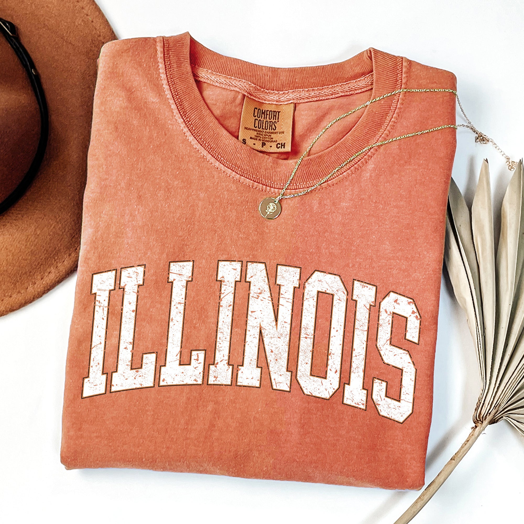 Illinois Football Tailgate Party Big Game State Pride University College Comfort Colors Tee