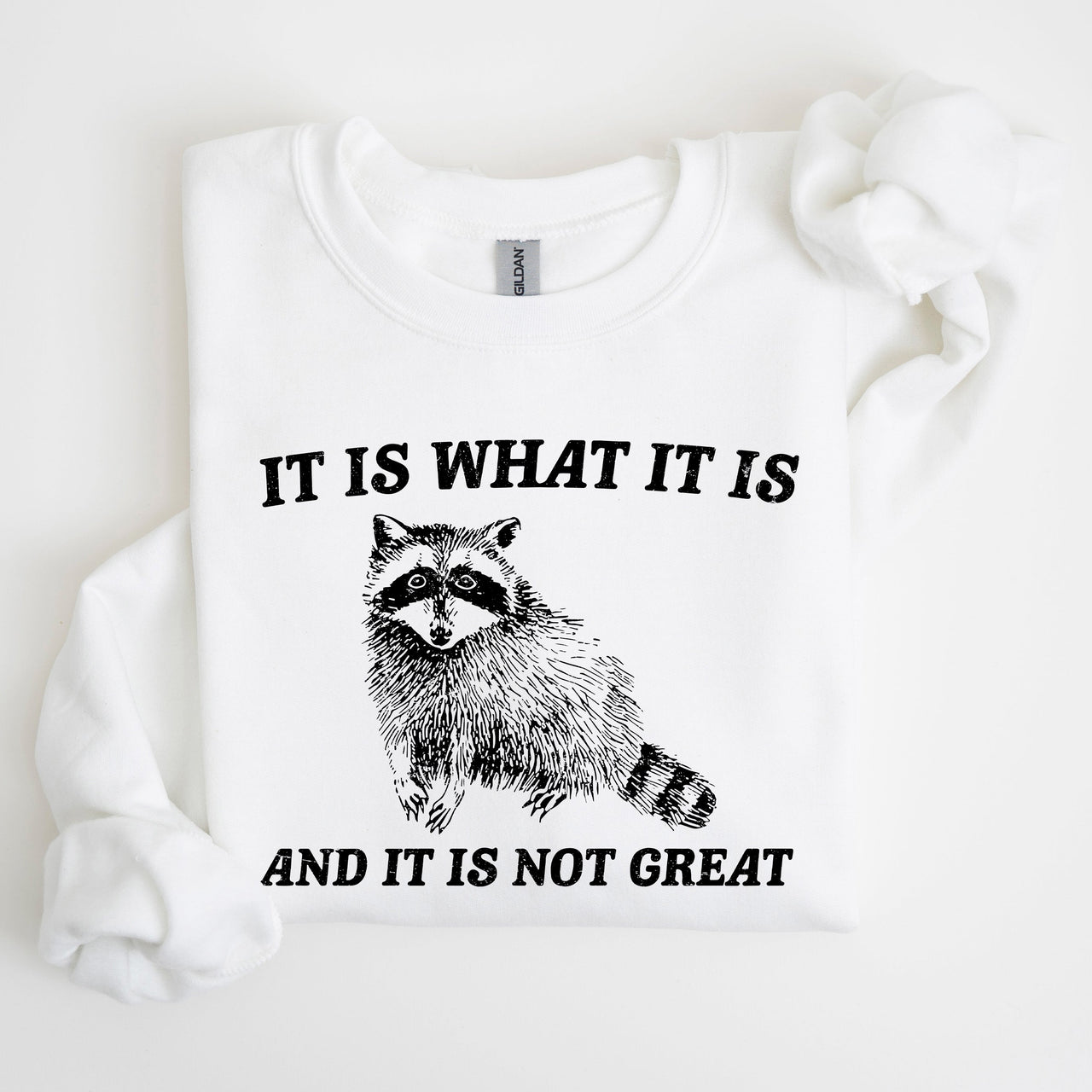 It Is What It Is And It Is Not Great Raccoon Trash Panda Meme Edition Sweatshirt