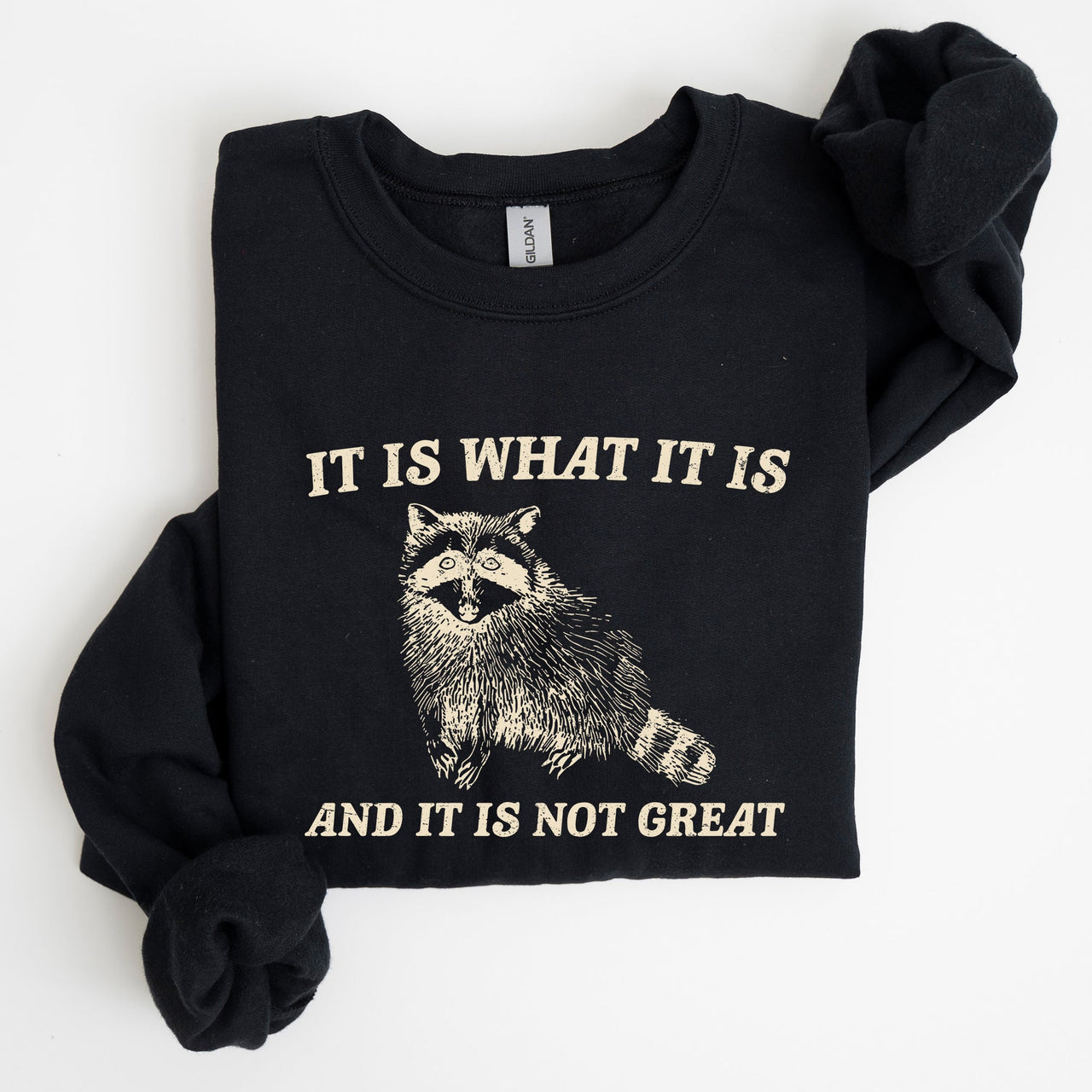 It Is What It Is And It Is Not Great Raccoon Funny Limited Edition Comfort Colors Everyday Casual Wear Sweatshirt