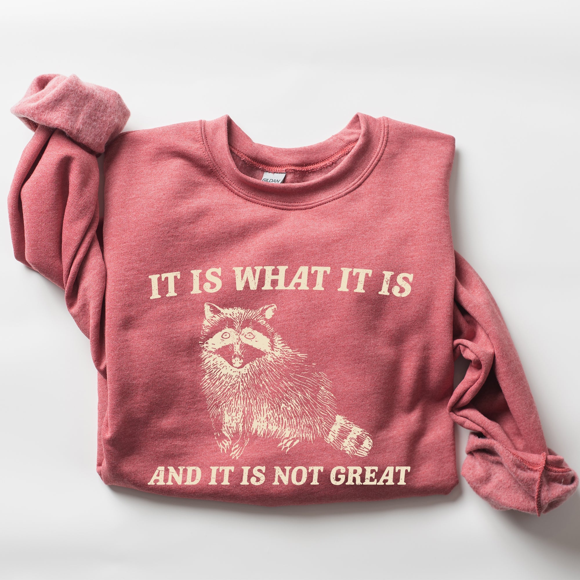 It Is What It Is And It Is Not Great Raccoon Funny Limited Edition Comfort Colors Everyday Casual Wear Sweatshirt