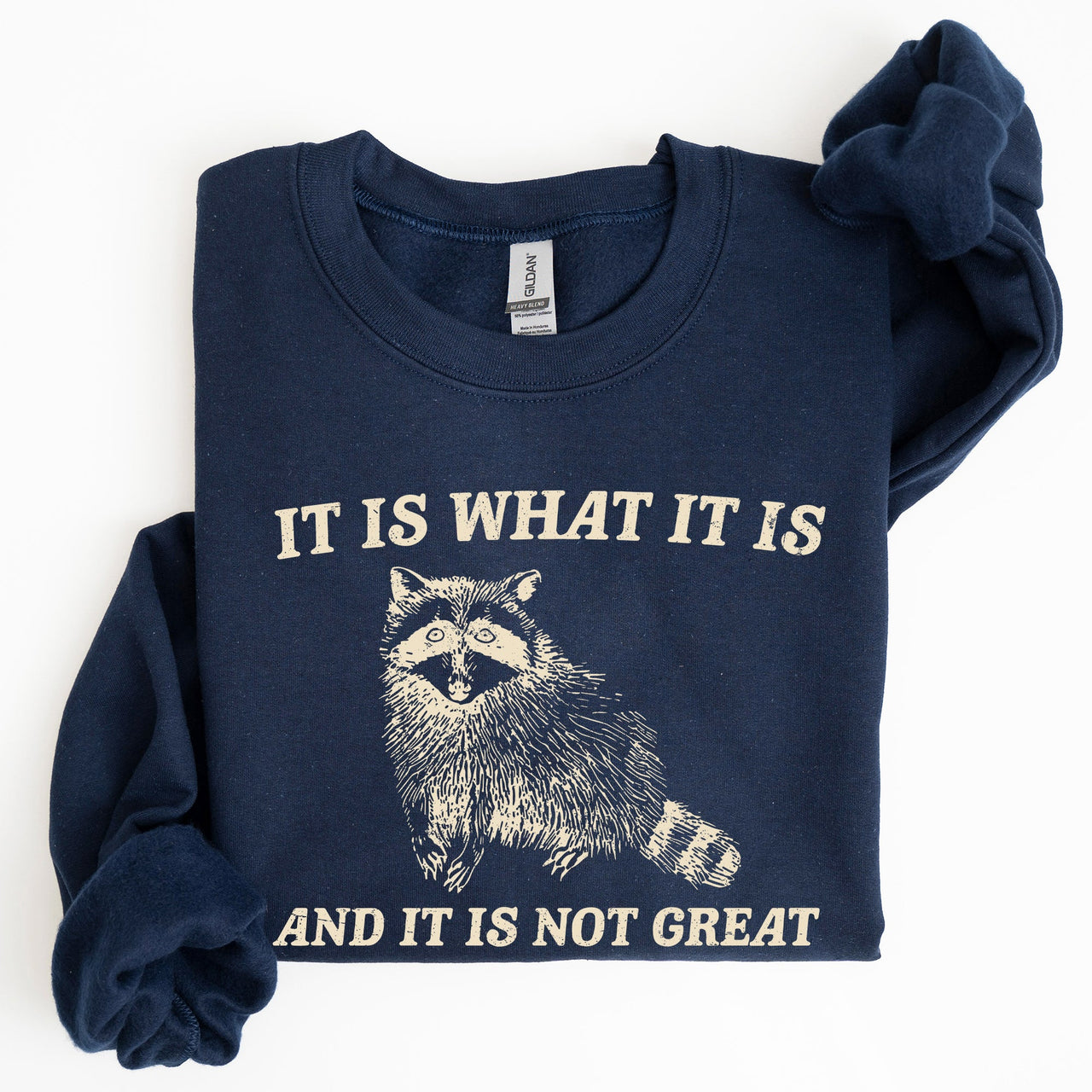 It Is What It Is And It Is Not Great Raccoon Funny Limited Edition Comfort Colors Everyday Casual Wear Sweatshirt
