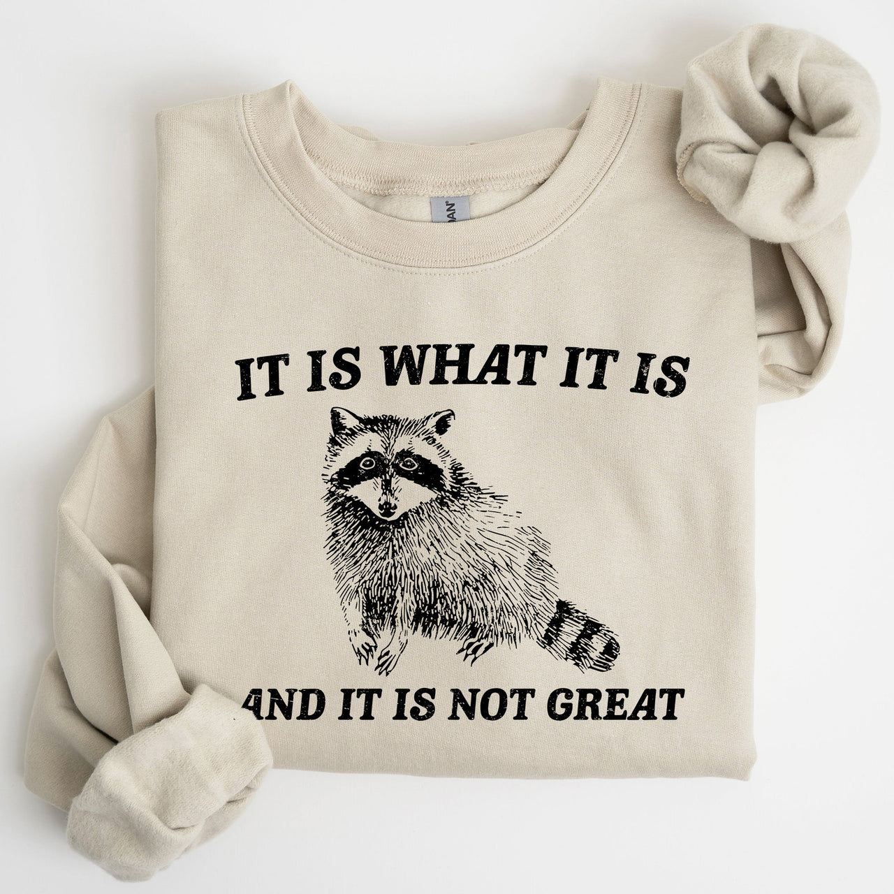It Is What It Is And It Is Not Great Raccoon Funny Limited Edition Comfort Colors Everyday Casual Wear Sweatshirt