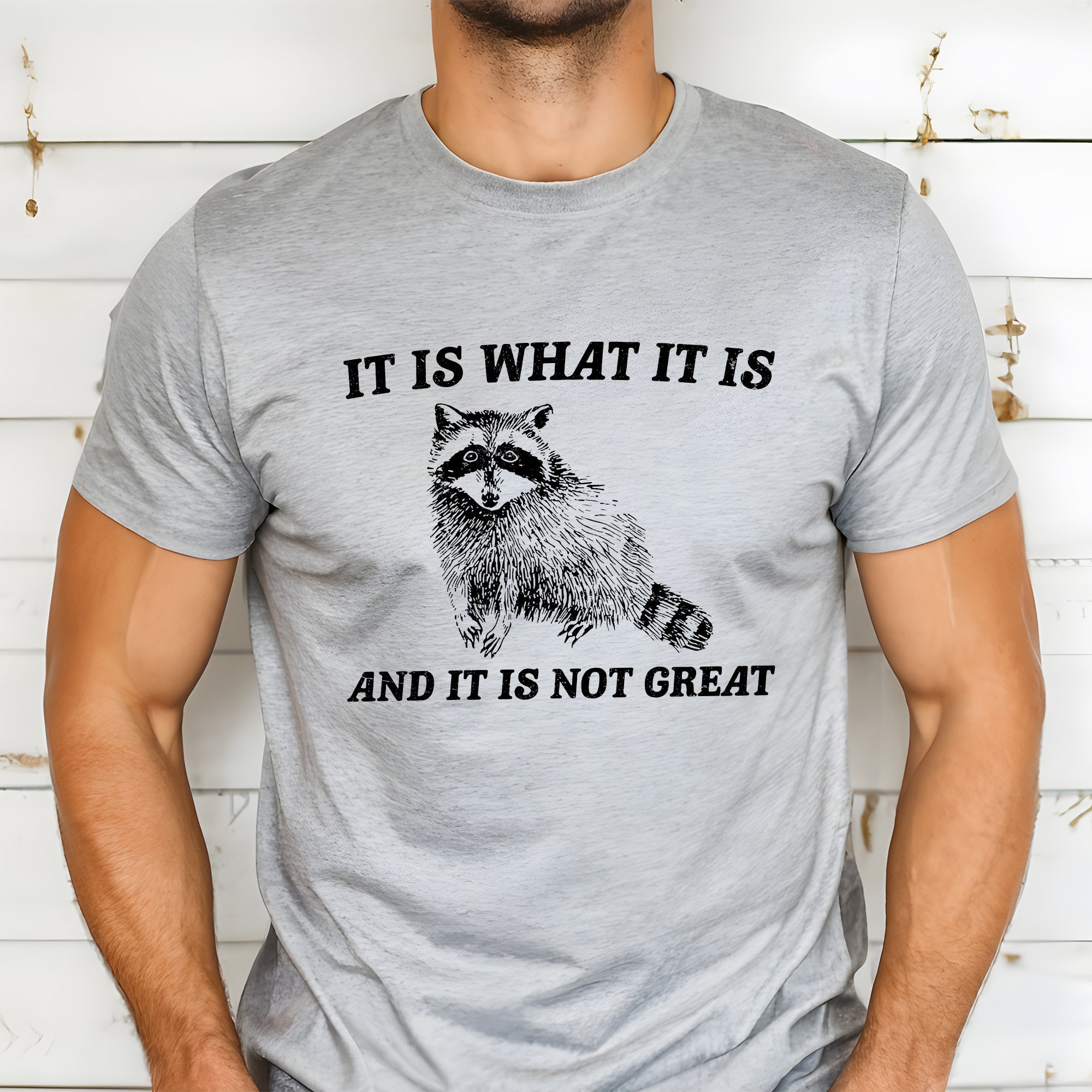 It Is What It Is And It's Not Great Raccoon Meme Edition Deluxe Collection Limited Edition Comfort Colors Tee