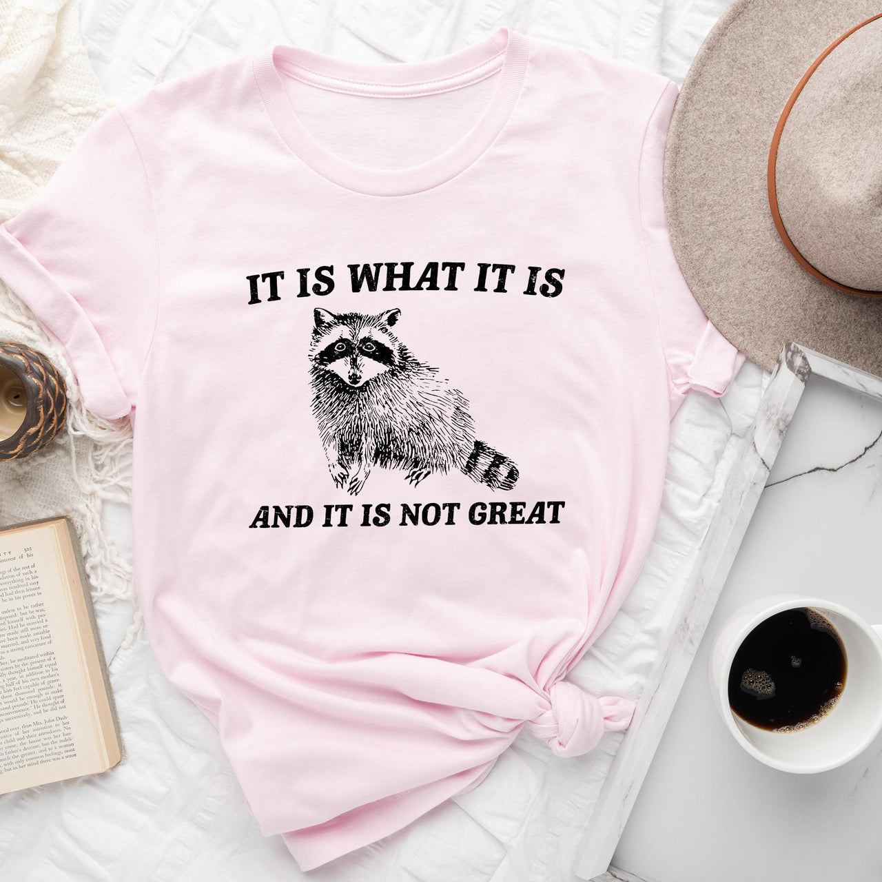 It Is What It Is And It's Not Great Raccoon Meme Edition Deluxe Collection Limited Edition Comfort Colors Tee