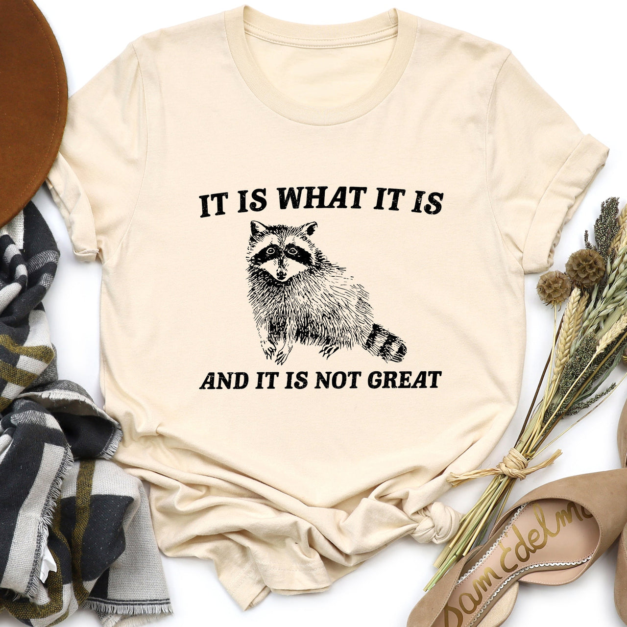 It Is What It Is And It's Not Great Raccoon Meme Edition Deluxe Collection Limited Edition Comfort Colors Tee