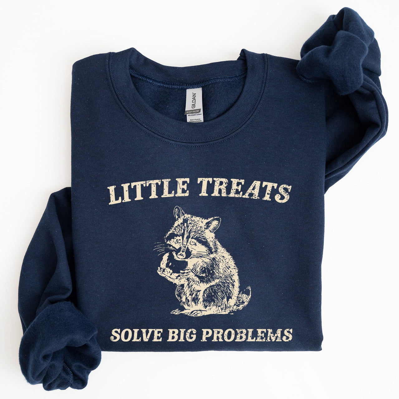 Little Treats Solve Big Problems Raccoon Meme Aesthetic Funny Edition Sweatshirt