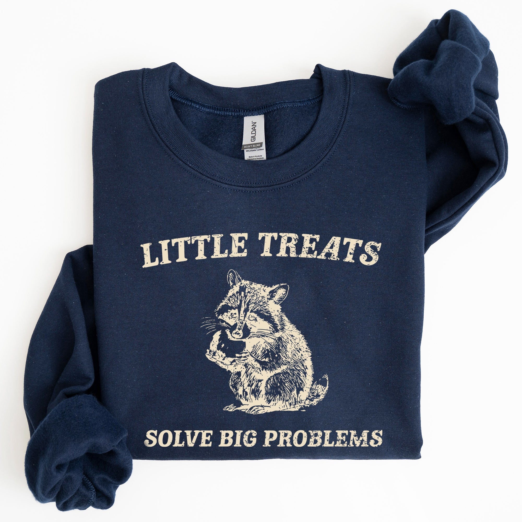 Little Treats Solve Big Problems Raccoon Meme Aesthetic Funny Edition Sweatshirt