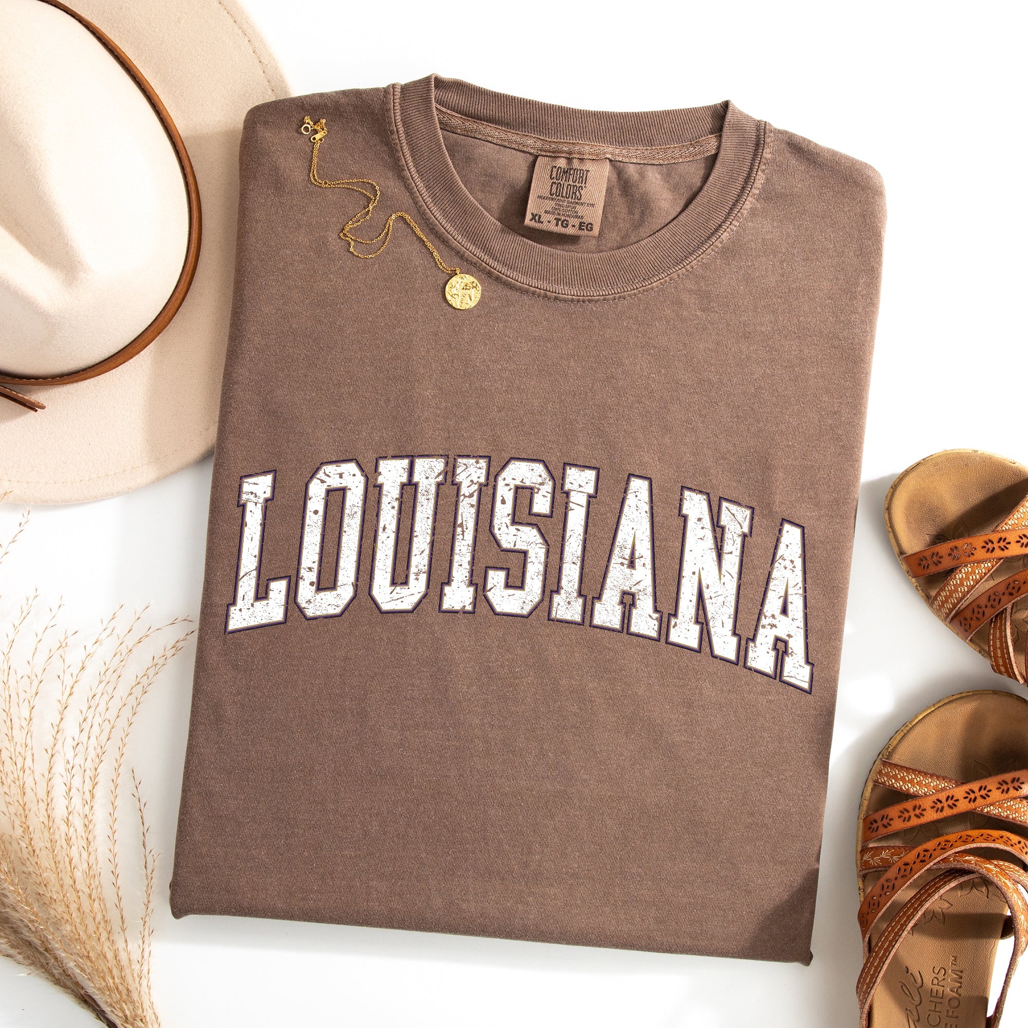 Louisiana Football Game Day Tailgate Party State University College Pride Comfort Colors Tee