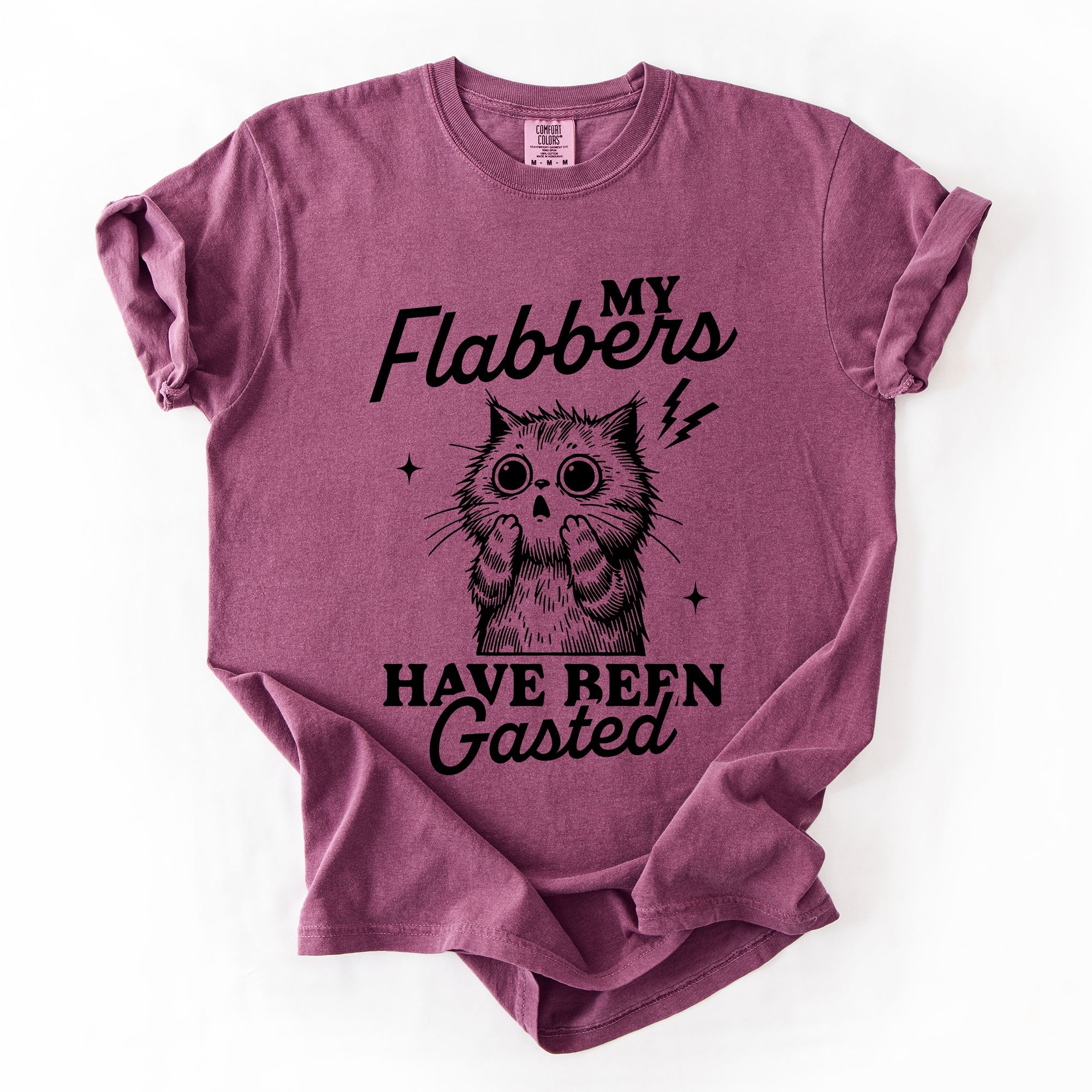 My Flabbers Have Been Gasted, Flabbergasted Cat Sass And Sarcasm Comfort Colors Tee