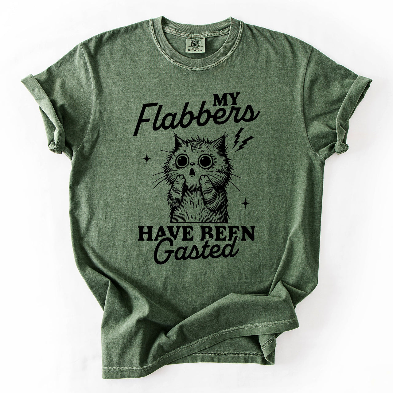 My Flabbers Have Been Gasted, Flabbergasted Cat Sass And Sarcasm Comfort Colors Tee