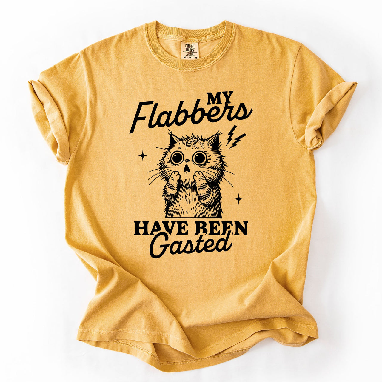 My Flabbers Have Been Gasted, Flabbergasted Cat Sass And Sarcasm Comfort Colors Tee