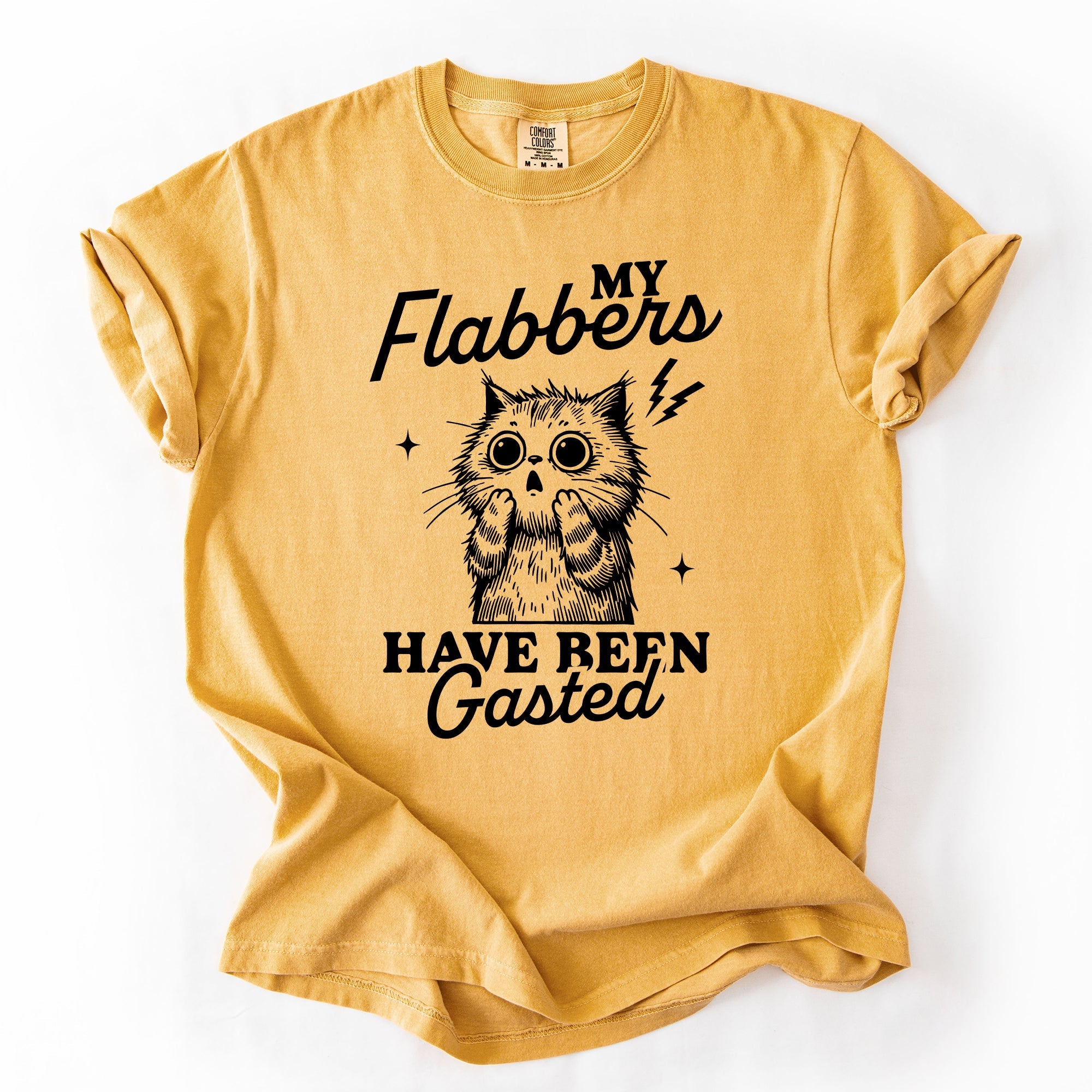 My Flabbers Have Been Gasted, Flabbergasted Cat Sass And Sarcasm Comfort Colors Tee