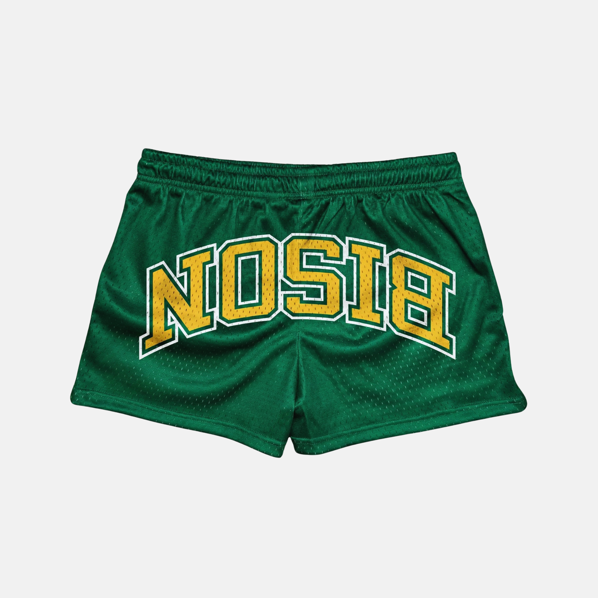 NDSU Bison Mesh Shorts | Women