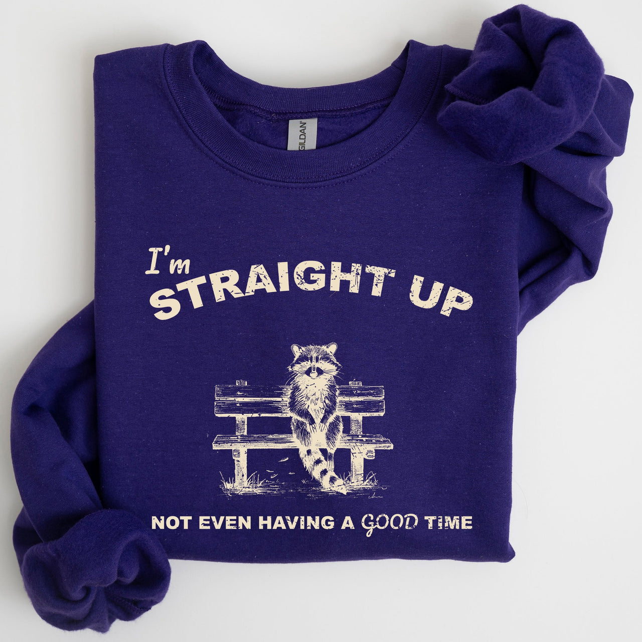 Not Having A Good Time Raccoon Meme Expression Of Internet Humor Edition Sweatshirt