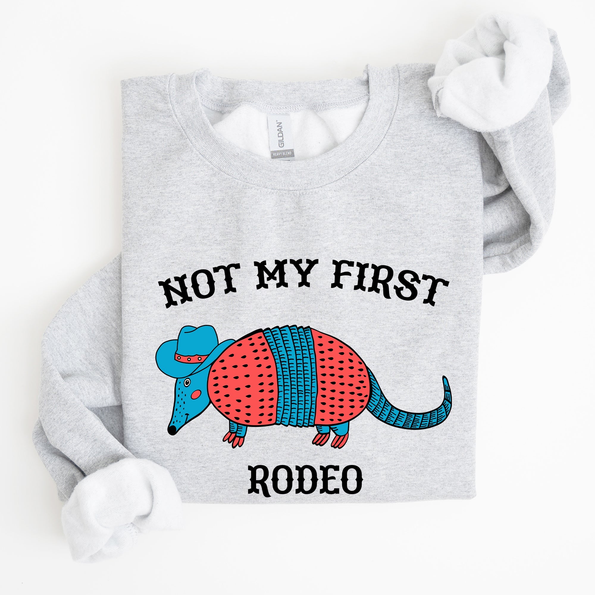 Not My First Rodeo, Cute Armadillo Graphic Illustration for Everyday Comfort Sweatshirt