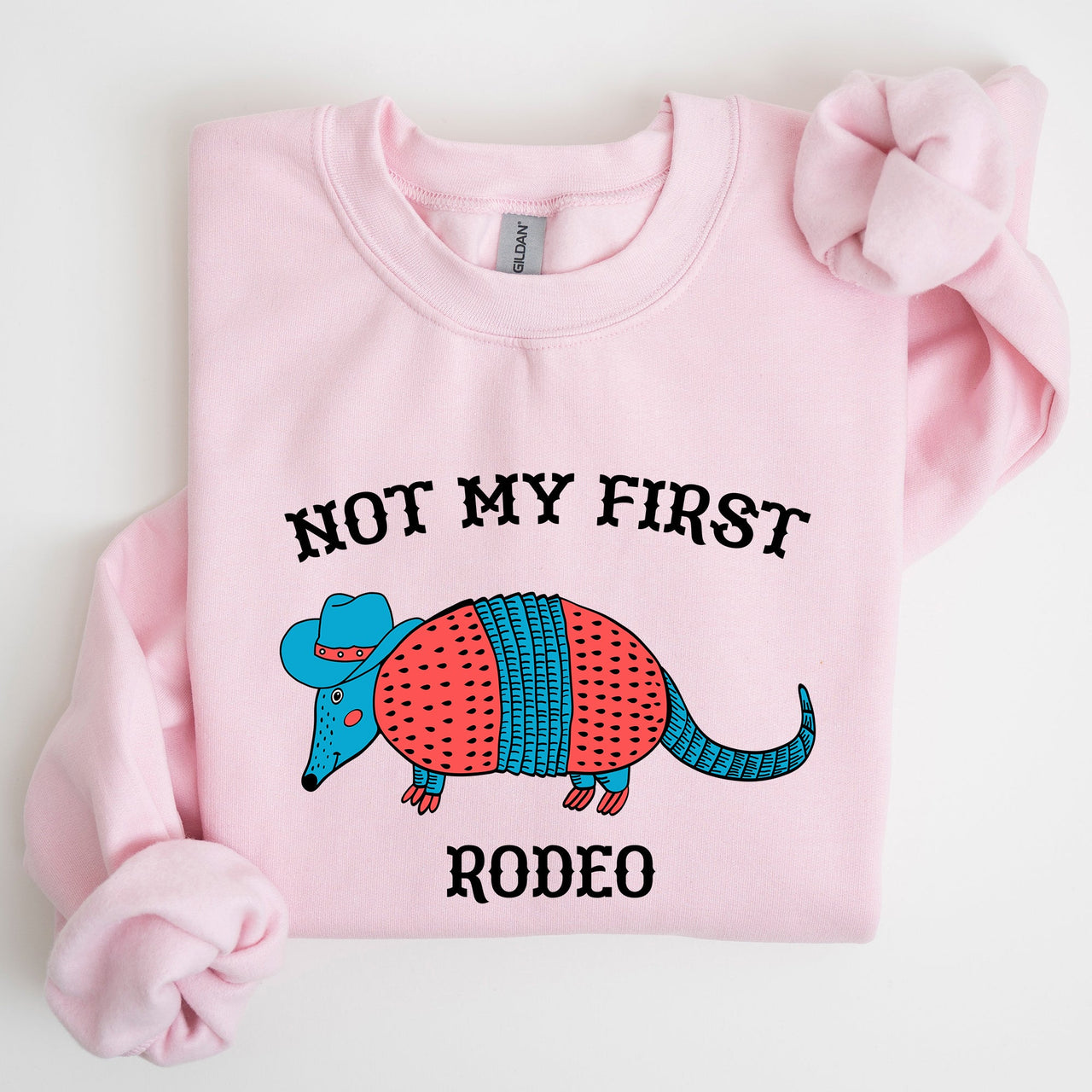 Not My First Rodeo, Cute Armadillo Graphic Illustration for Everyday Comfort Sweatshirt
