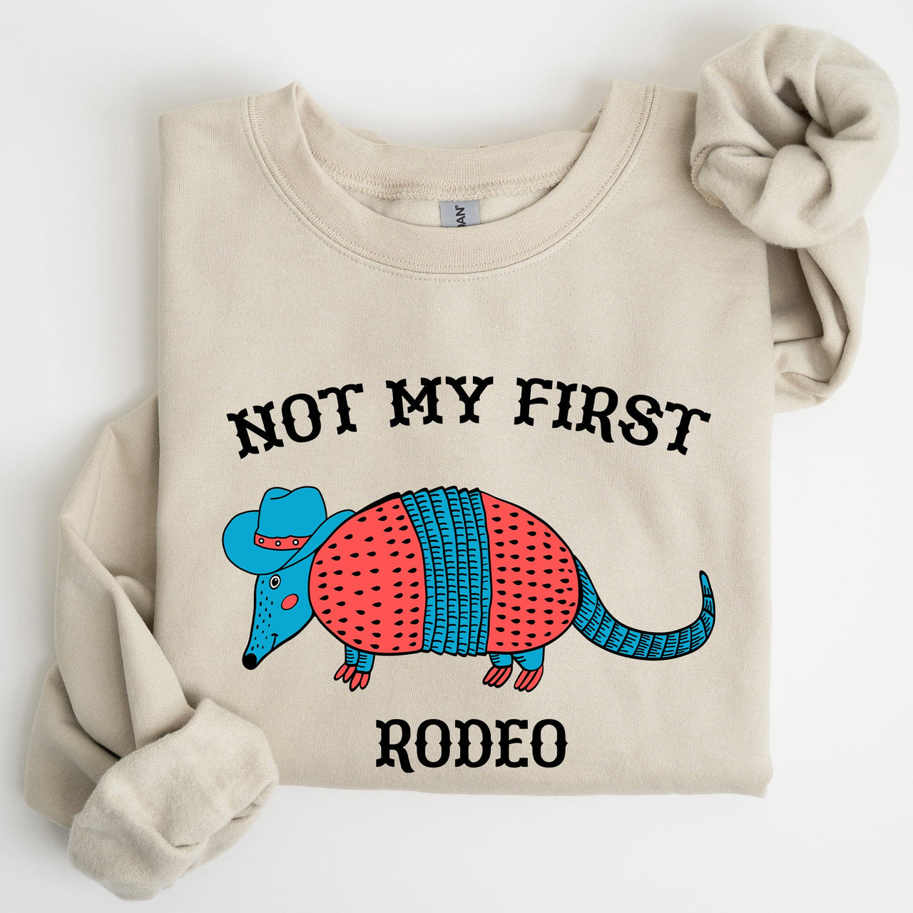 Not My First Rodeo, Cute Armadillo Graphic Illustration for Everyday Comfort Sweatshirt