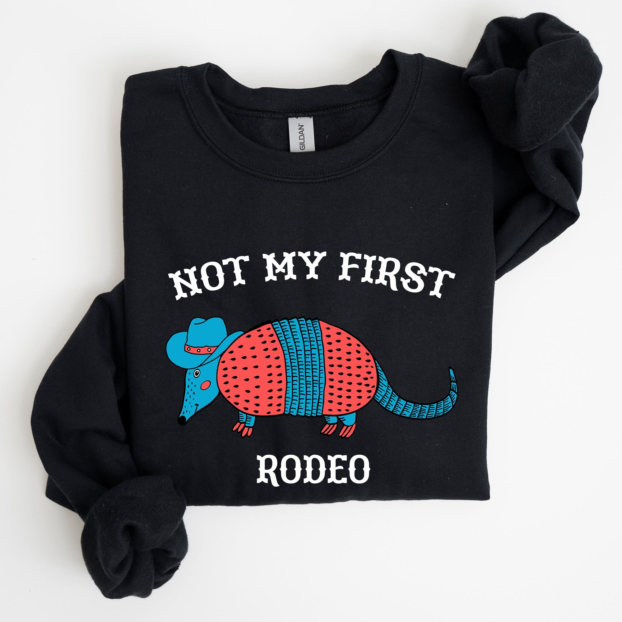 Not My First Rodeo, Cute Armadillo Graphic Illustration for Everyday Comfort Sweatshirt