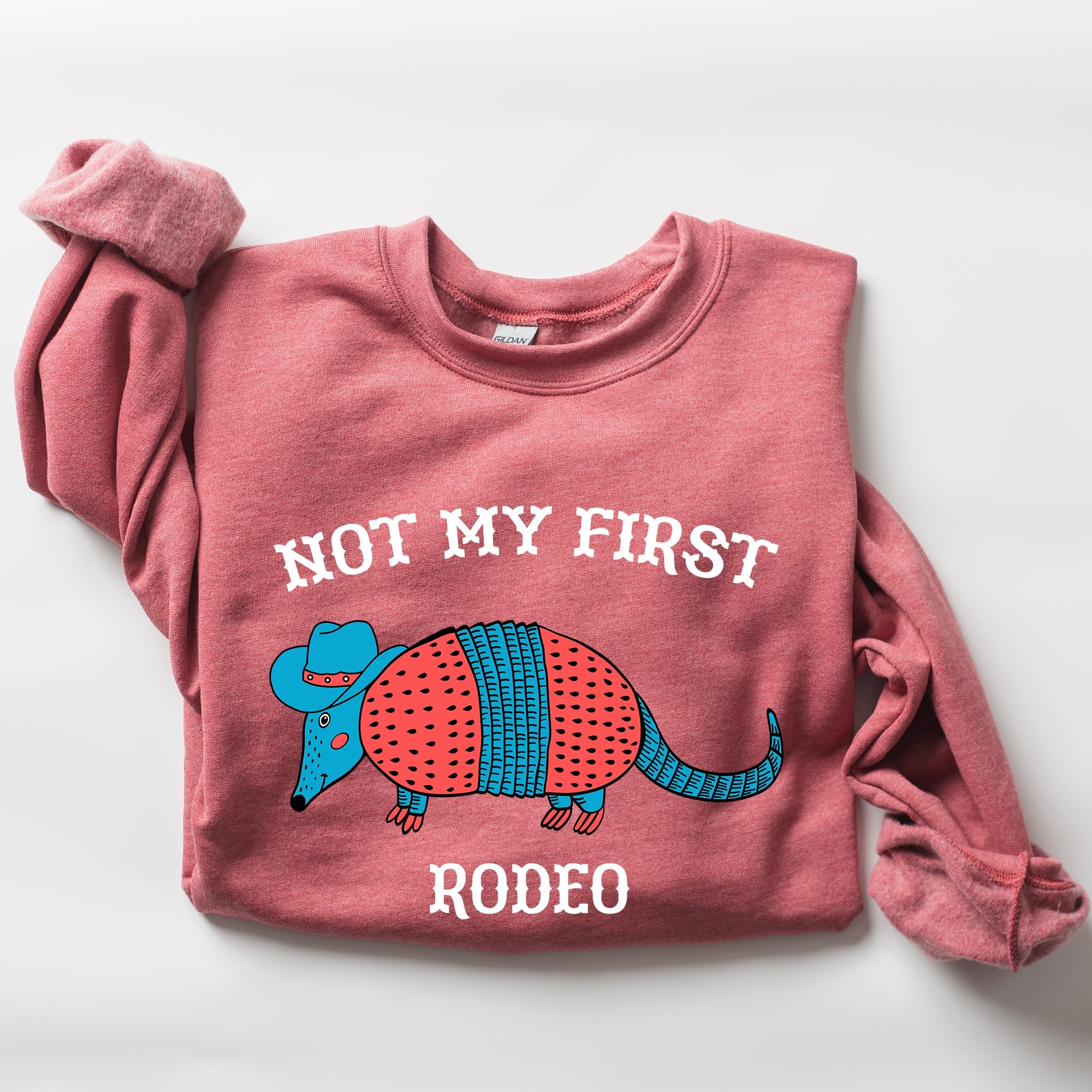 Not My First Rodeo, Cute Armadillo Graphic Illustration for Everyday Comfort Sweatshirt