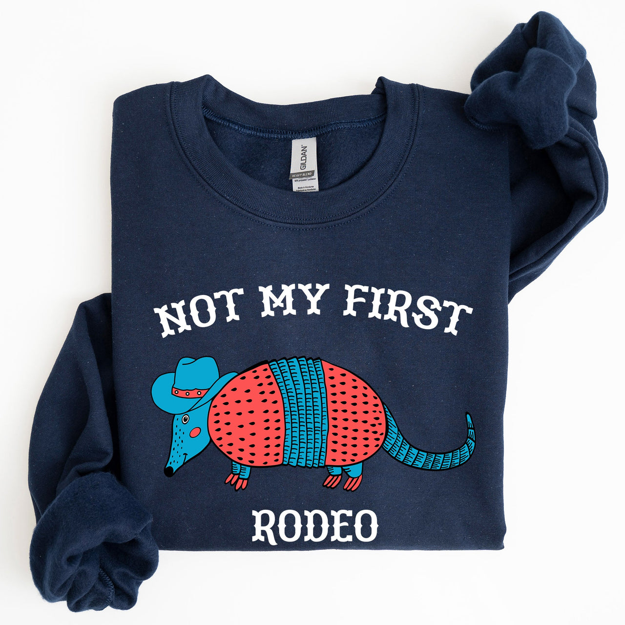 Not My First Rodeo, Cute Armadillo Graphic Illustration for Everyday Comfort Sweatshirt