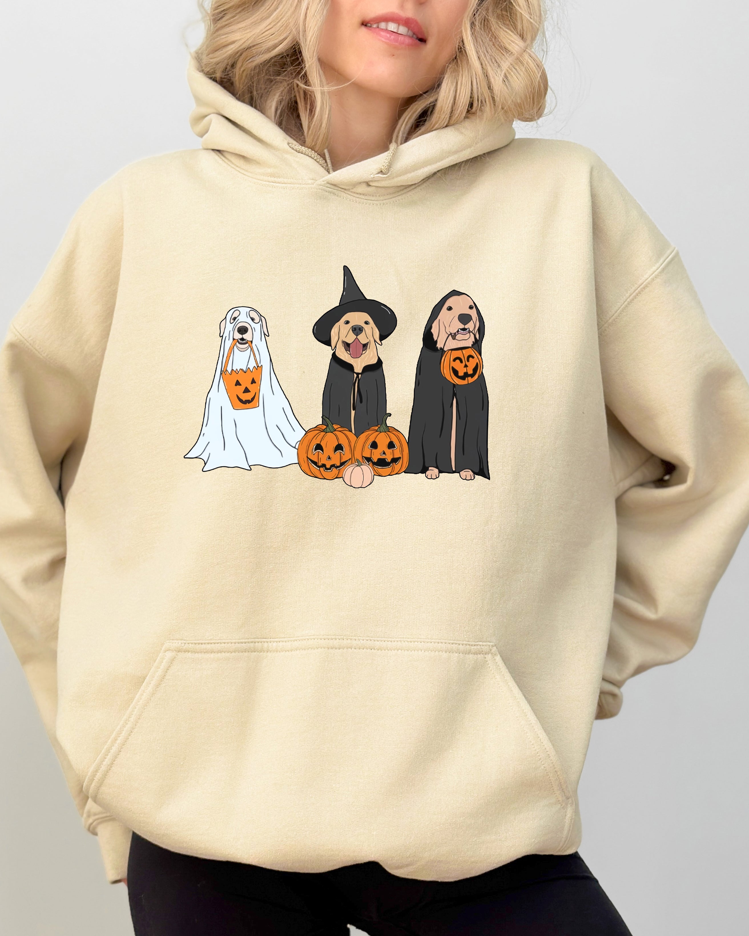 Dog Ghosts Skeleton Halloween Meme Spooky Witch Pumpkin Classic Theme Vintage Vibe Hoodie