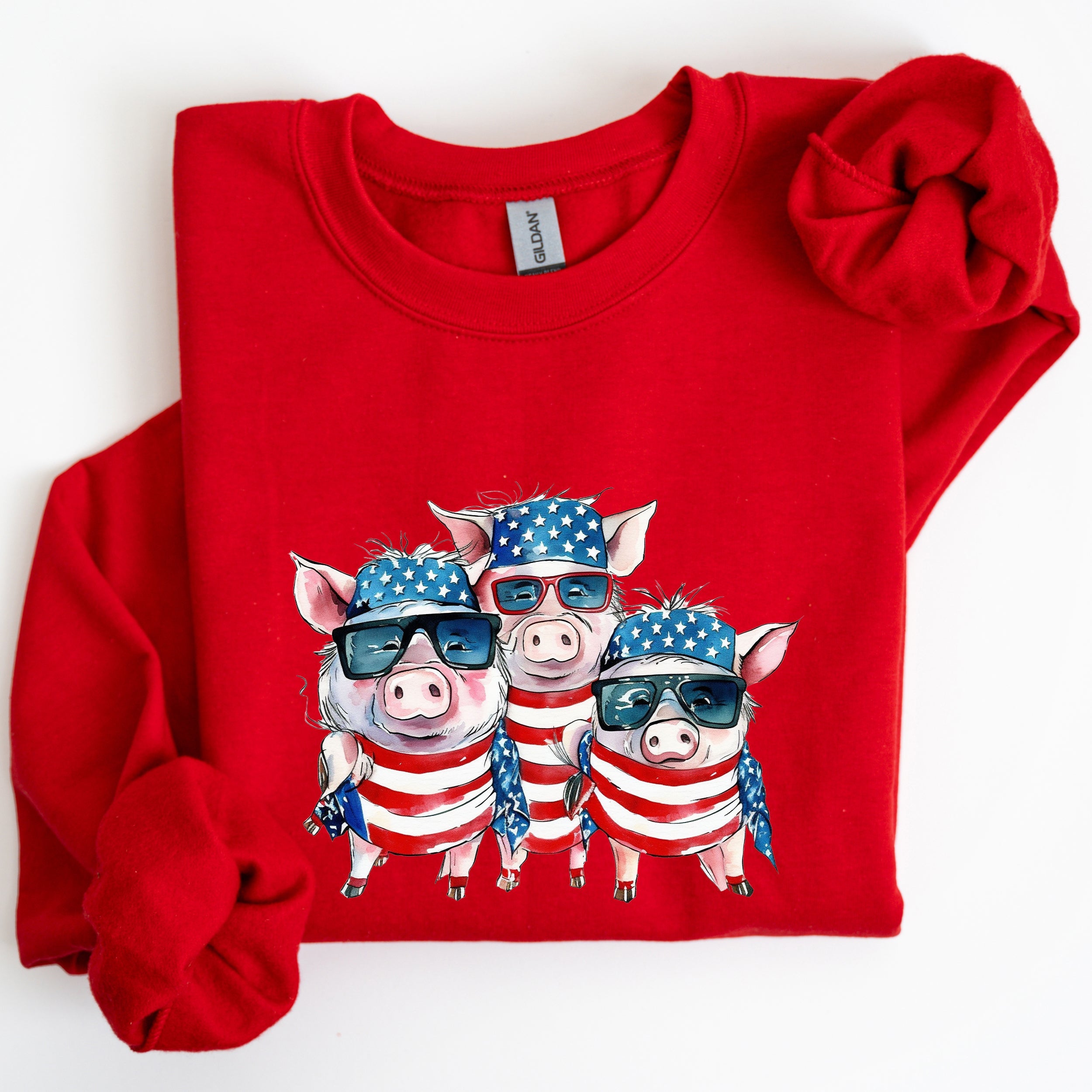 Patriotic Pigs Hippie Funny 4th Of July Celebration Graphic Punk Rock Vibe Sweatshirt