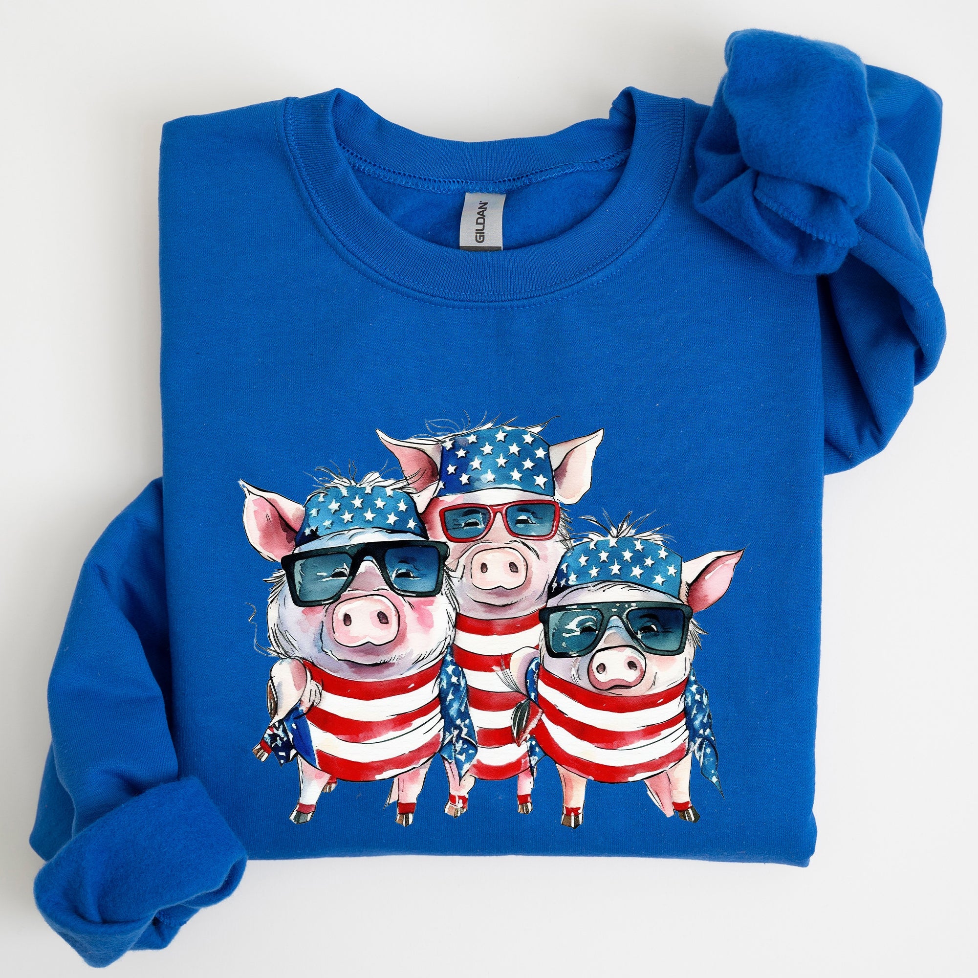 Patriotic Pigs Hippie Funny 4th Of July Celebration Graphic Punk Rock Vibe Sweatshirt