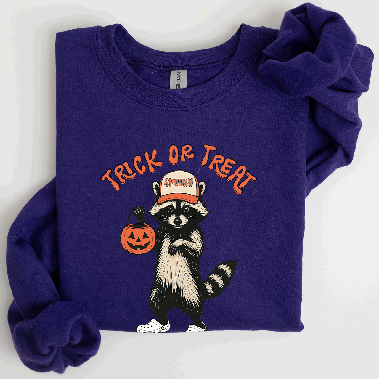 Raccoon Trick Or Treat Halloween Spooky Cozy Nighttime Autumn Theme Seasonal Fun Sweatshirt